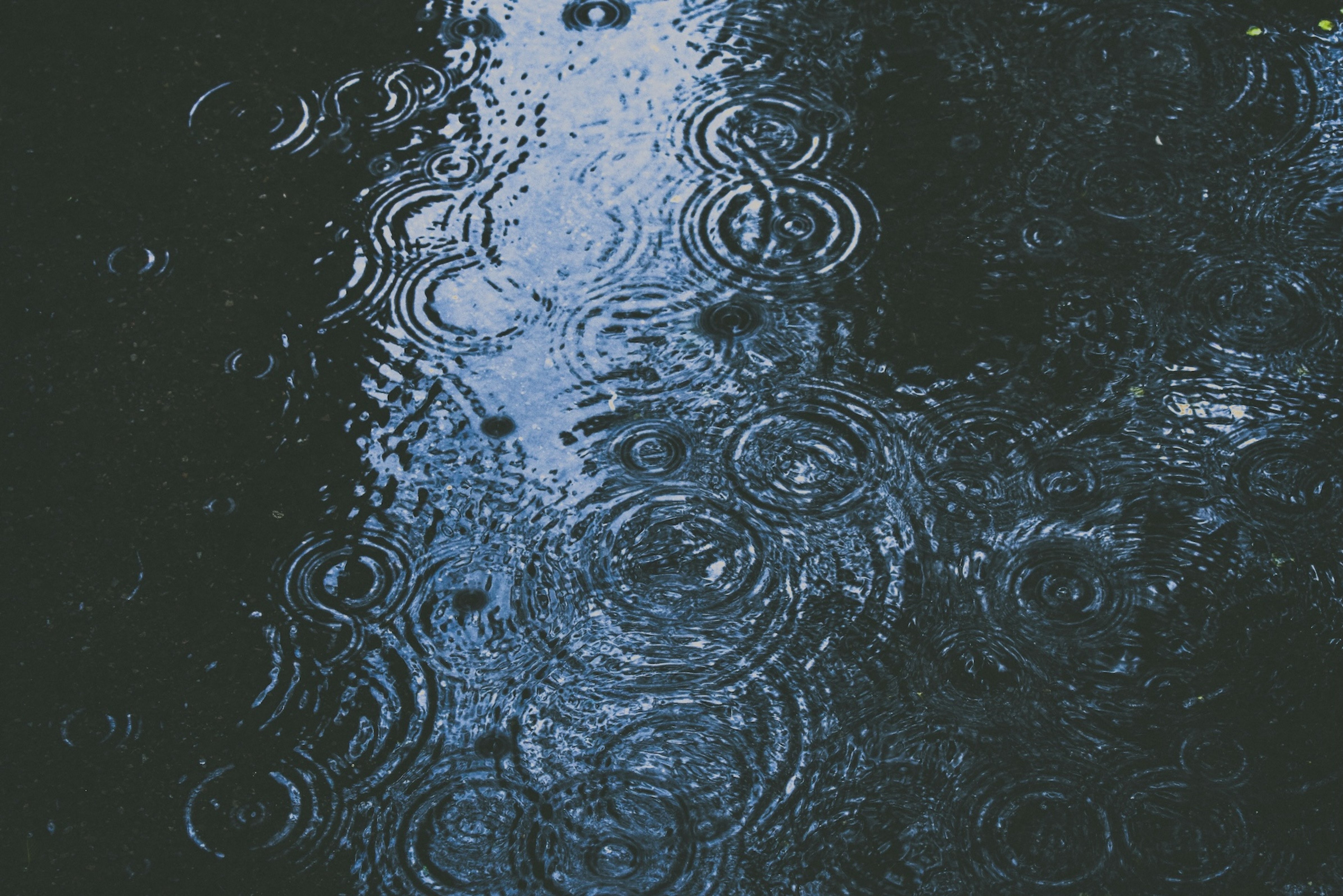 Wetterfuehligkeit