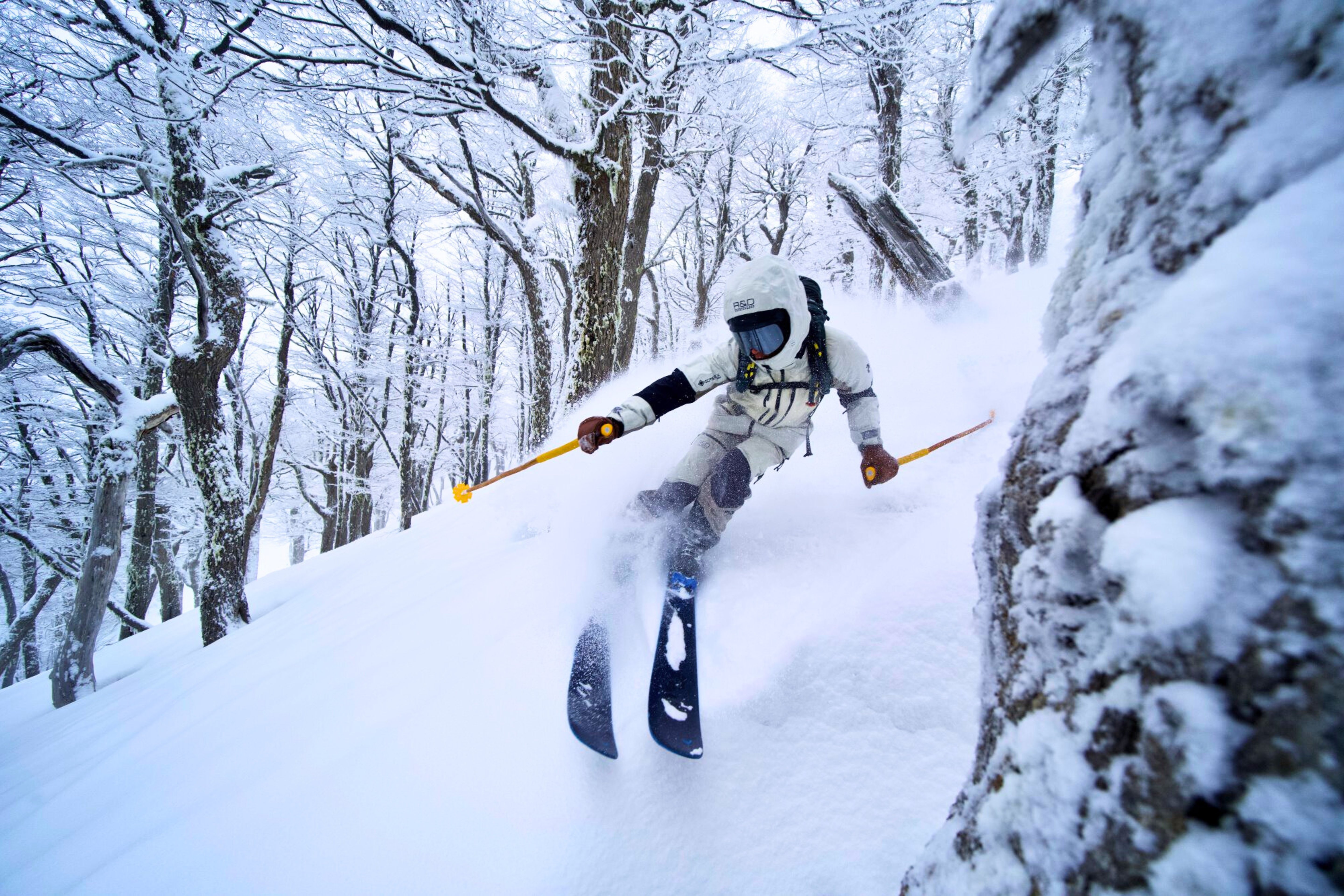 Tao Snow