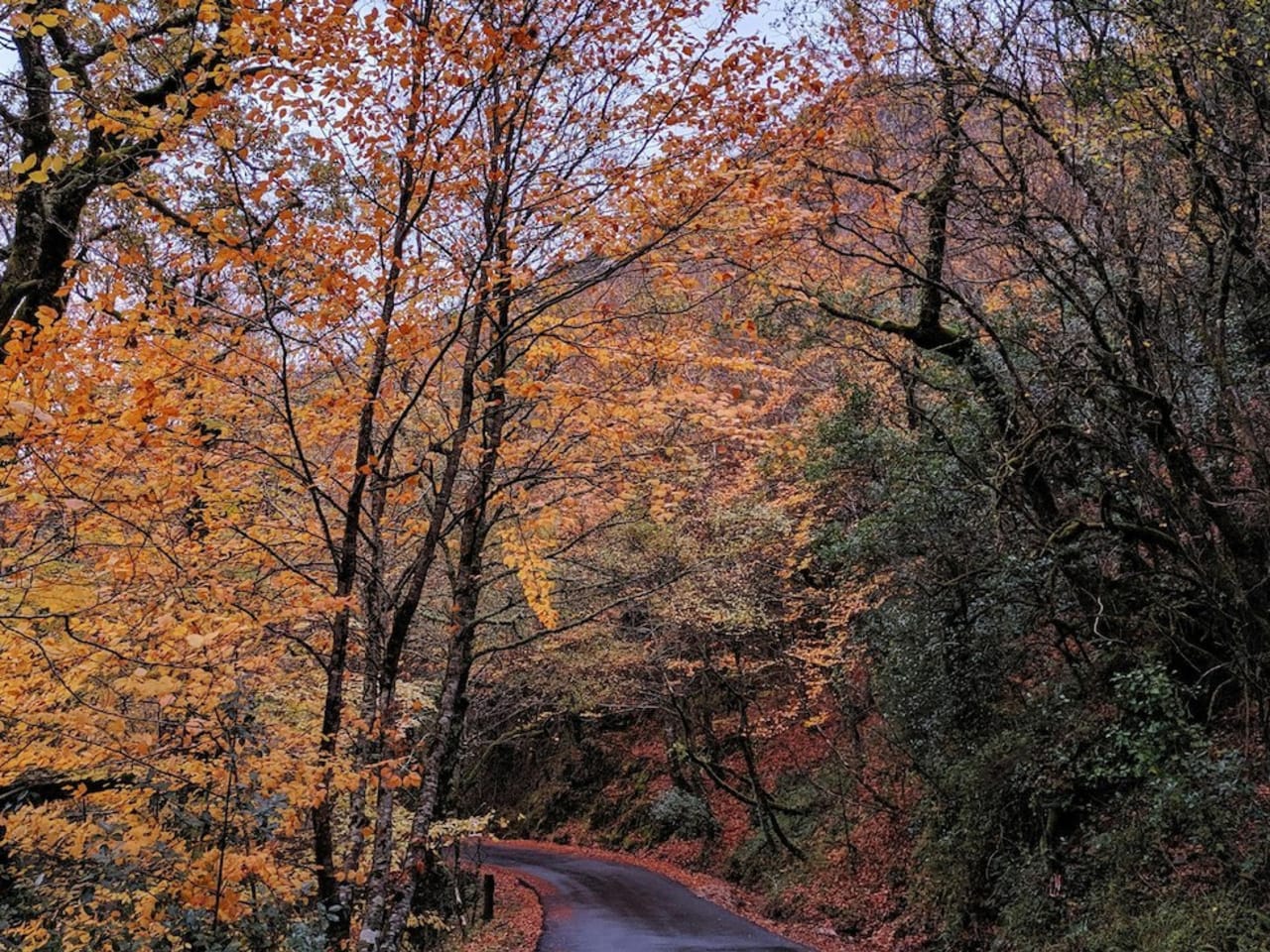 Healthstyle Spaziergang