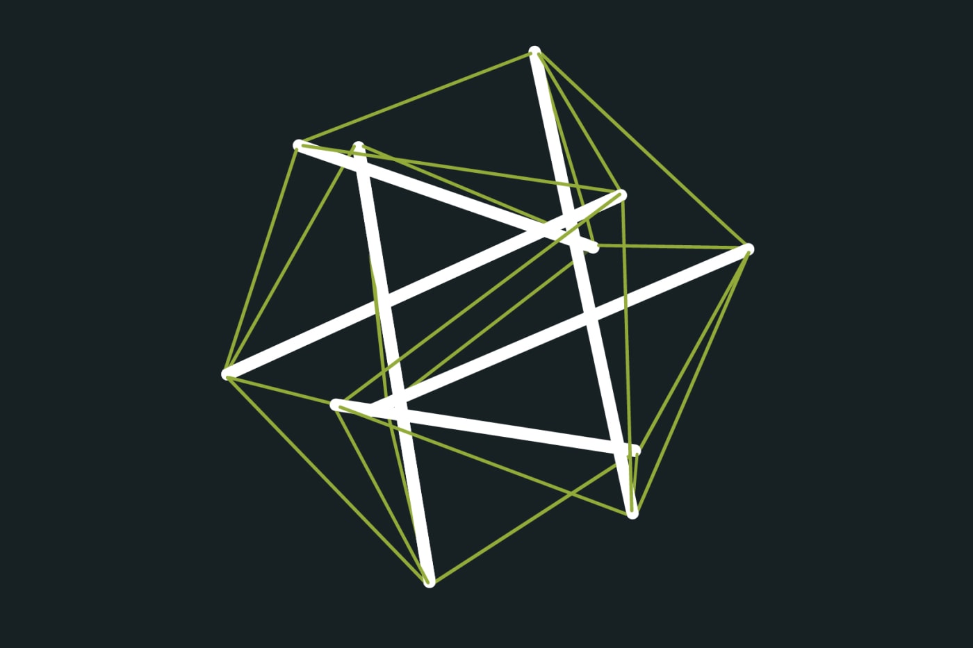 Tensegrity Model