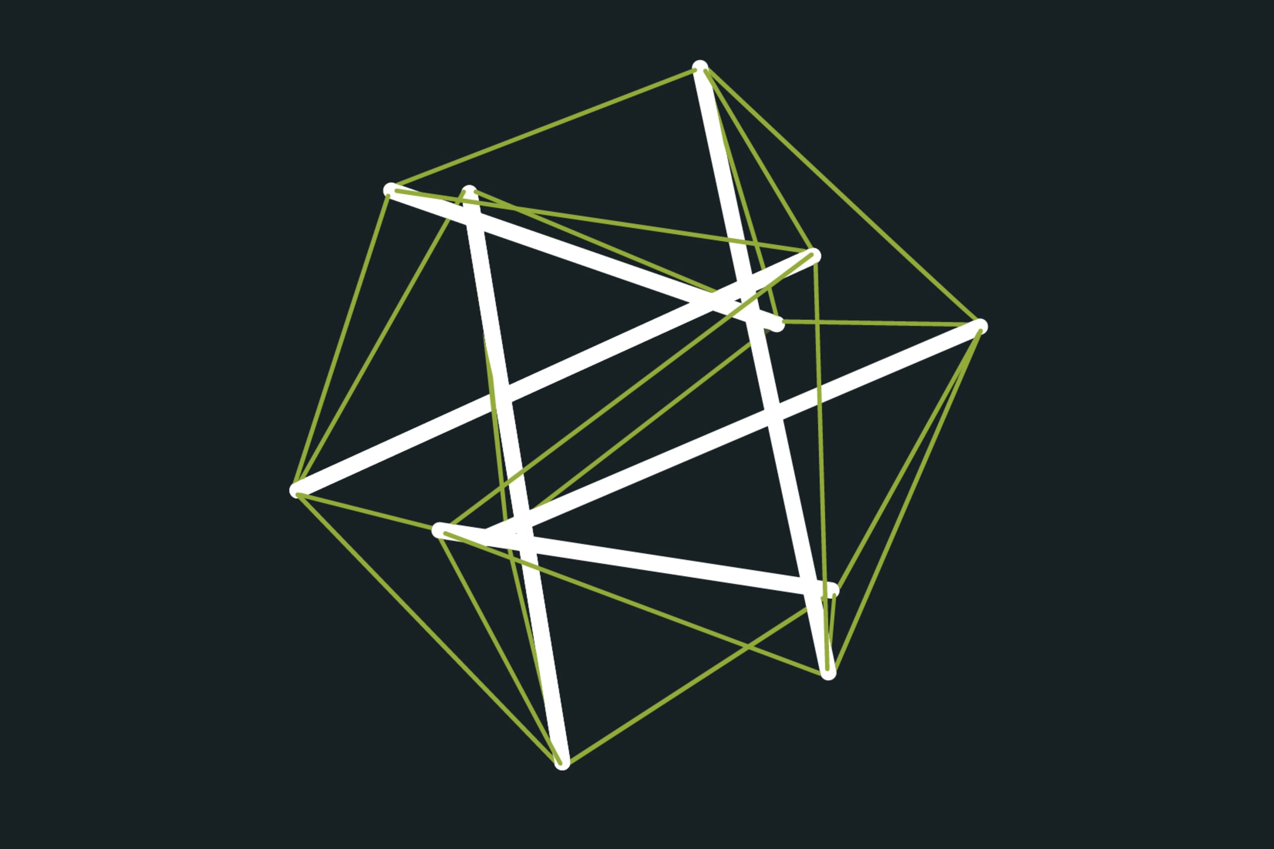 Tensegrity Model