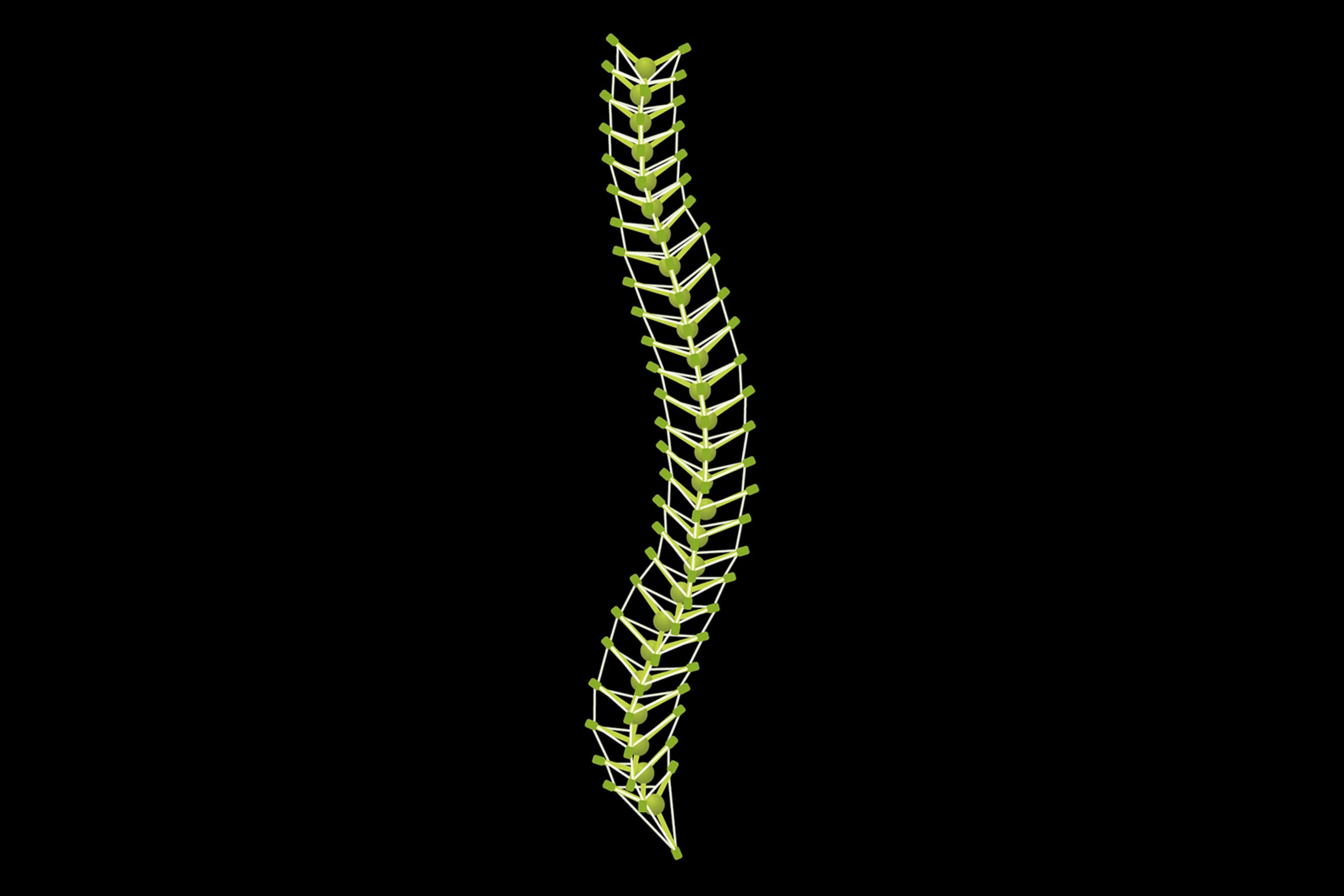 Tensegrity-model van de wervelkolom