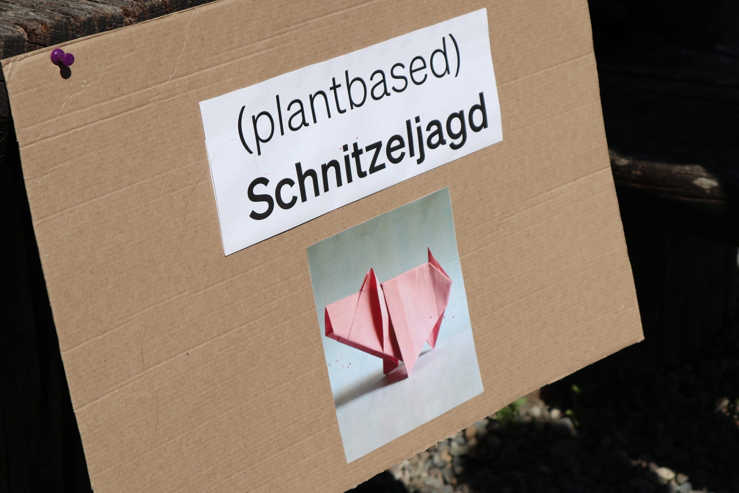 Blackroll Teamday Earth Day Aktivitäten für mehr Bewusstsein zum Klimaschutz