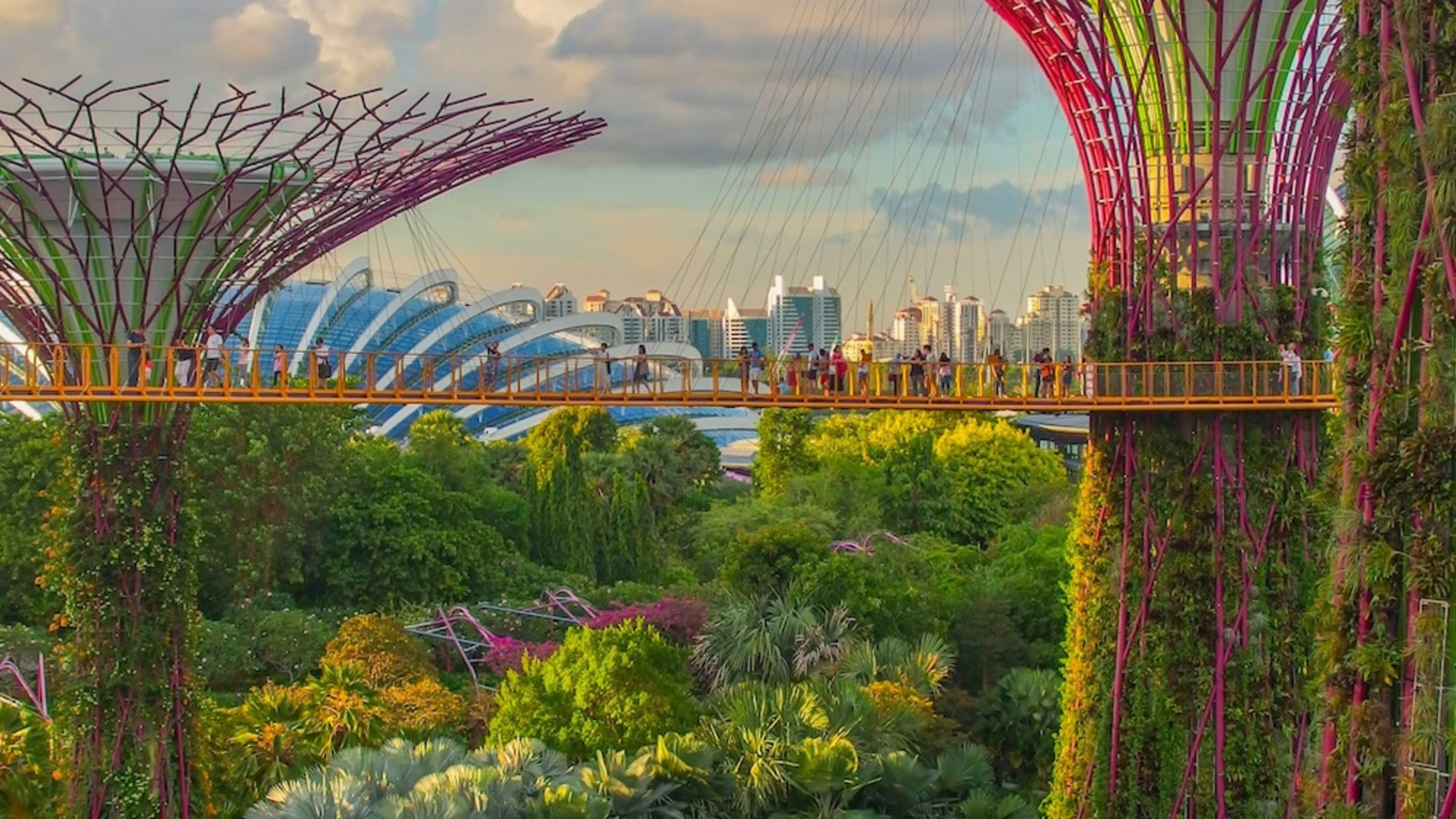 Blue Zones Singapur