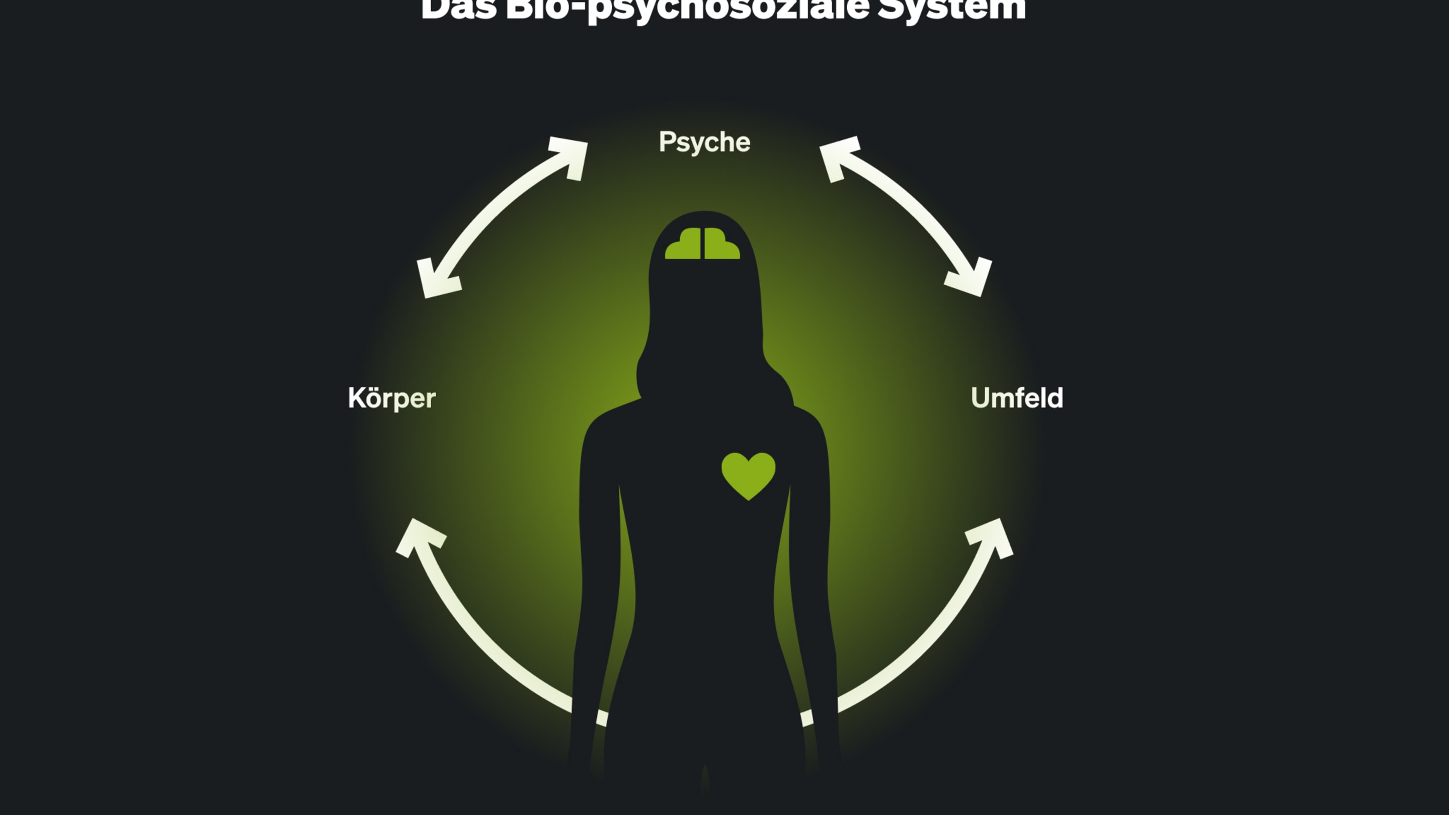 Das Bio psychosoziale System DE 2x