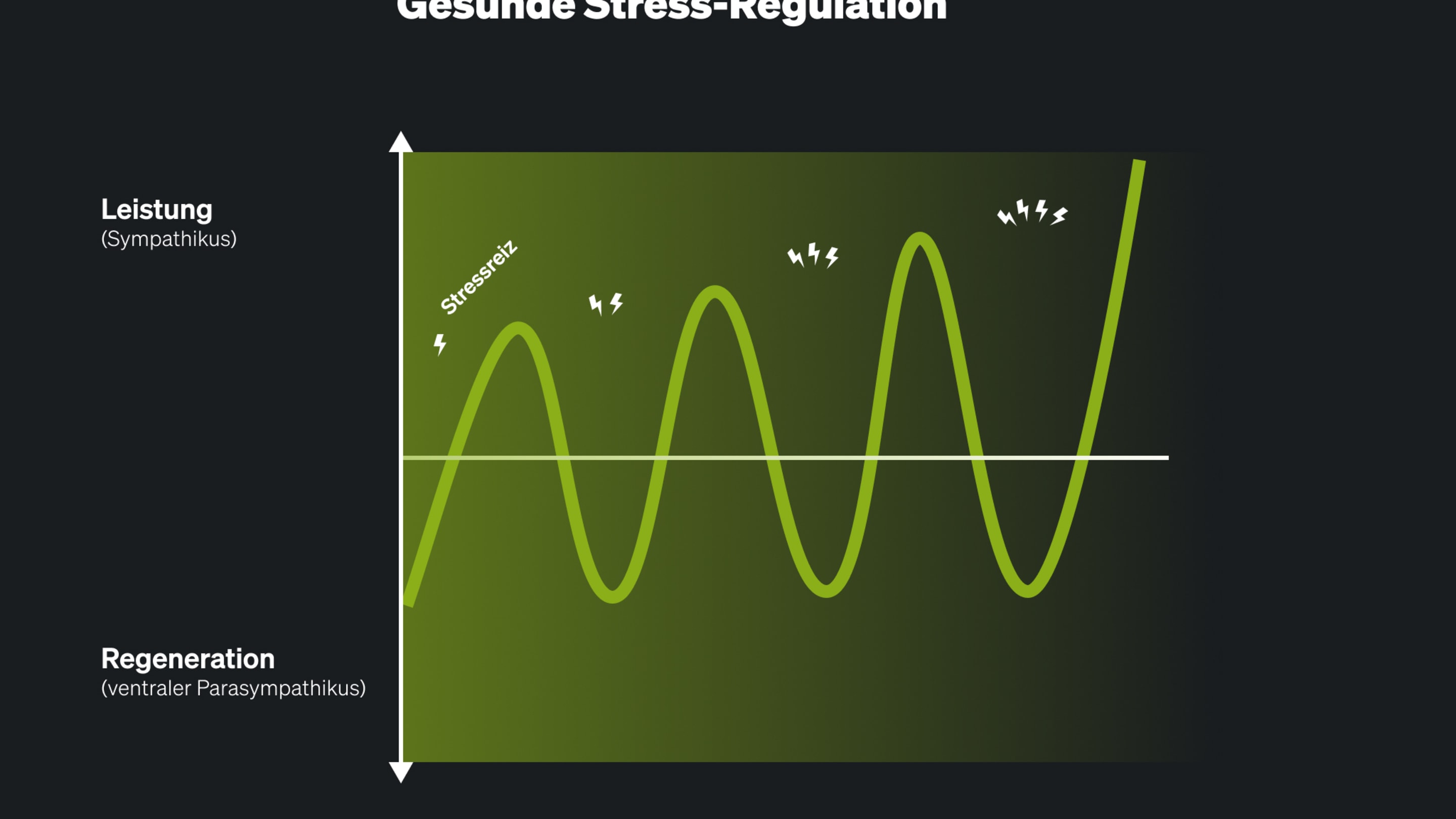 Gesunde Stress Regulation 2x