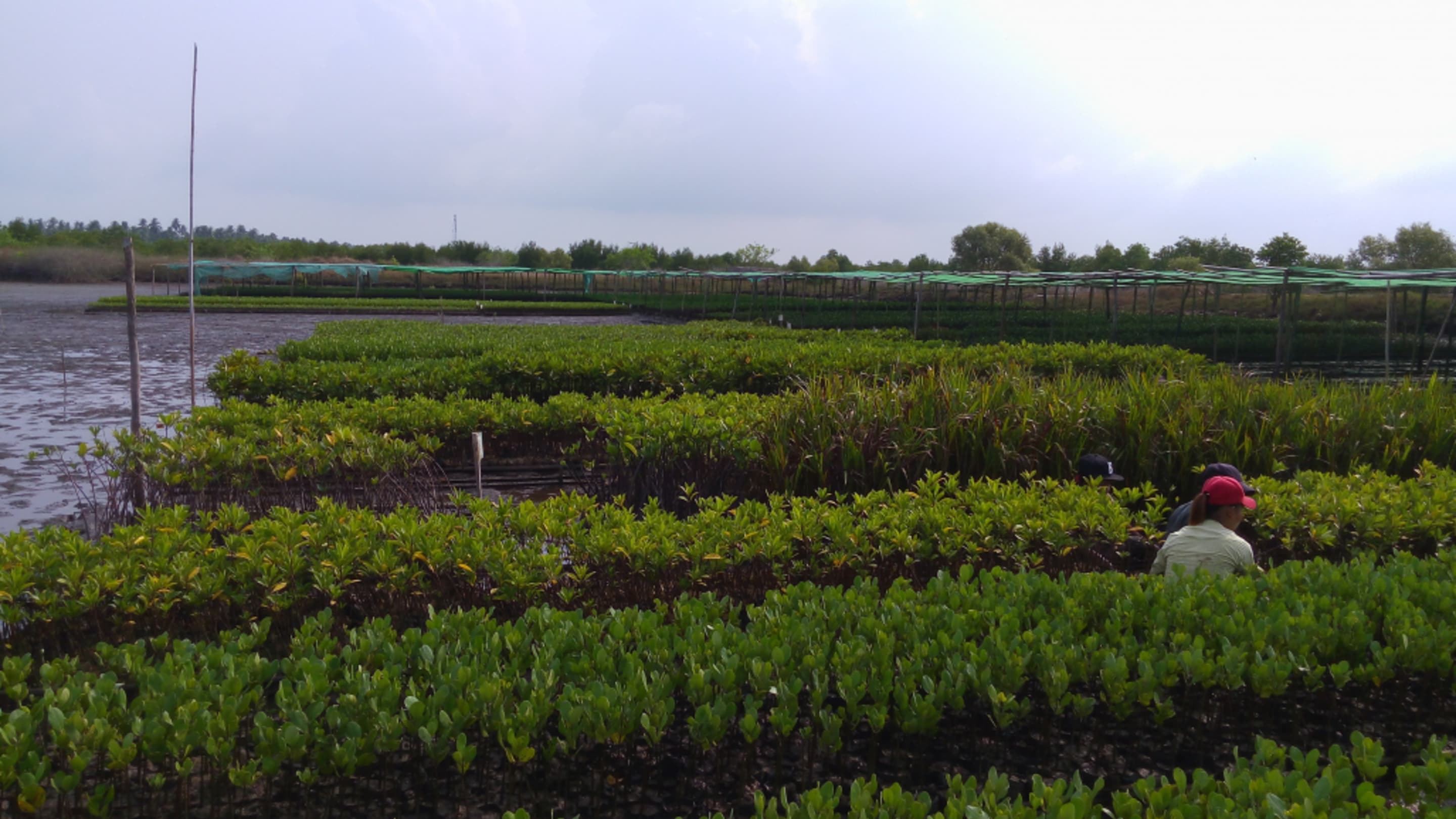 Nursery