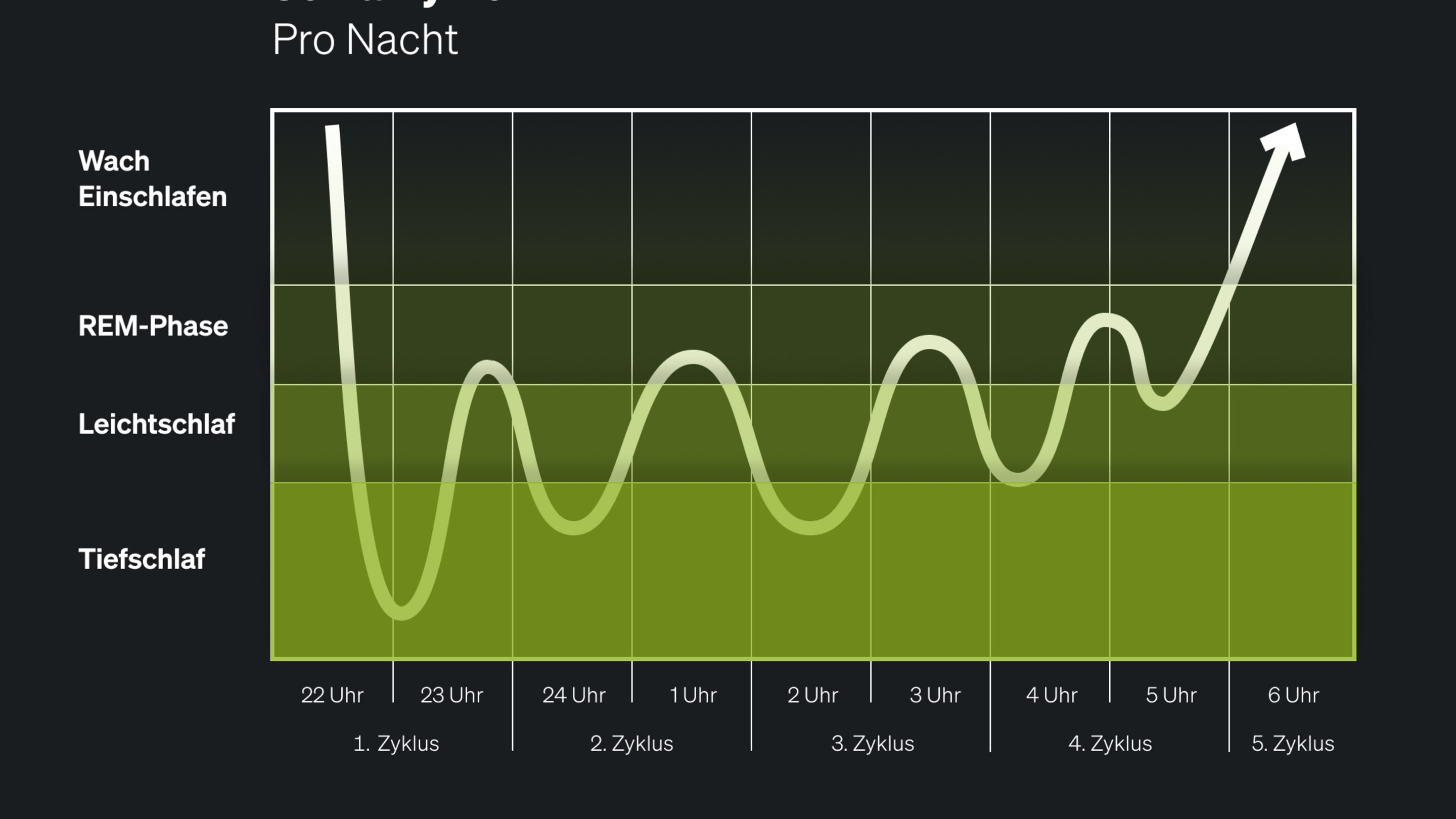 Cycles de sommeil high res