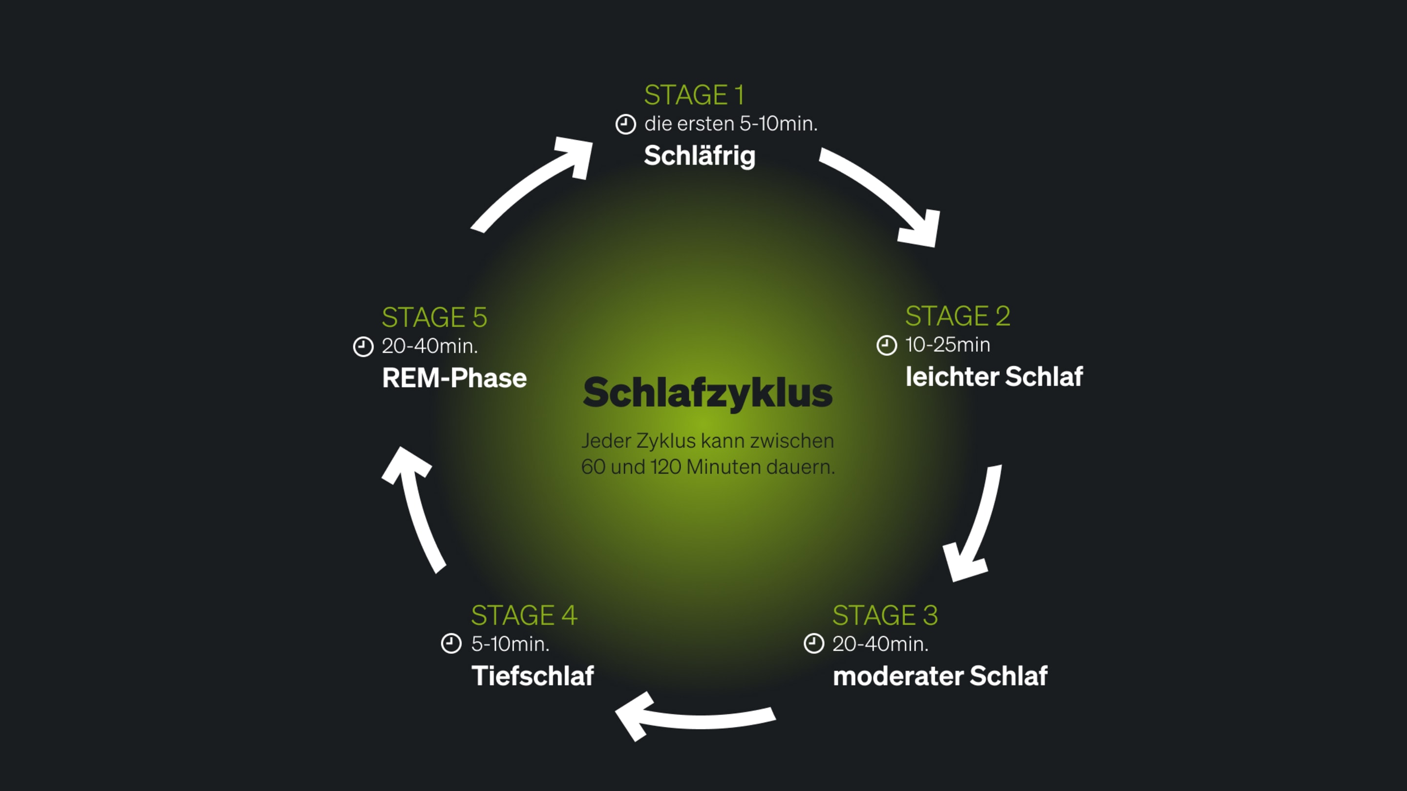 Schlafzyklus highres