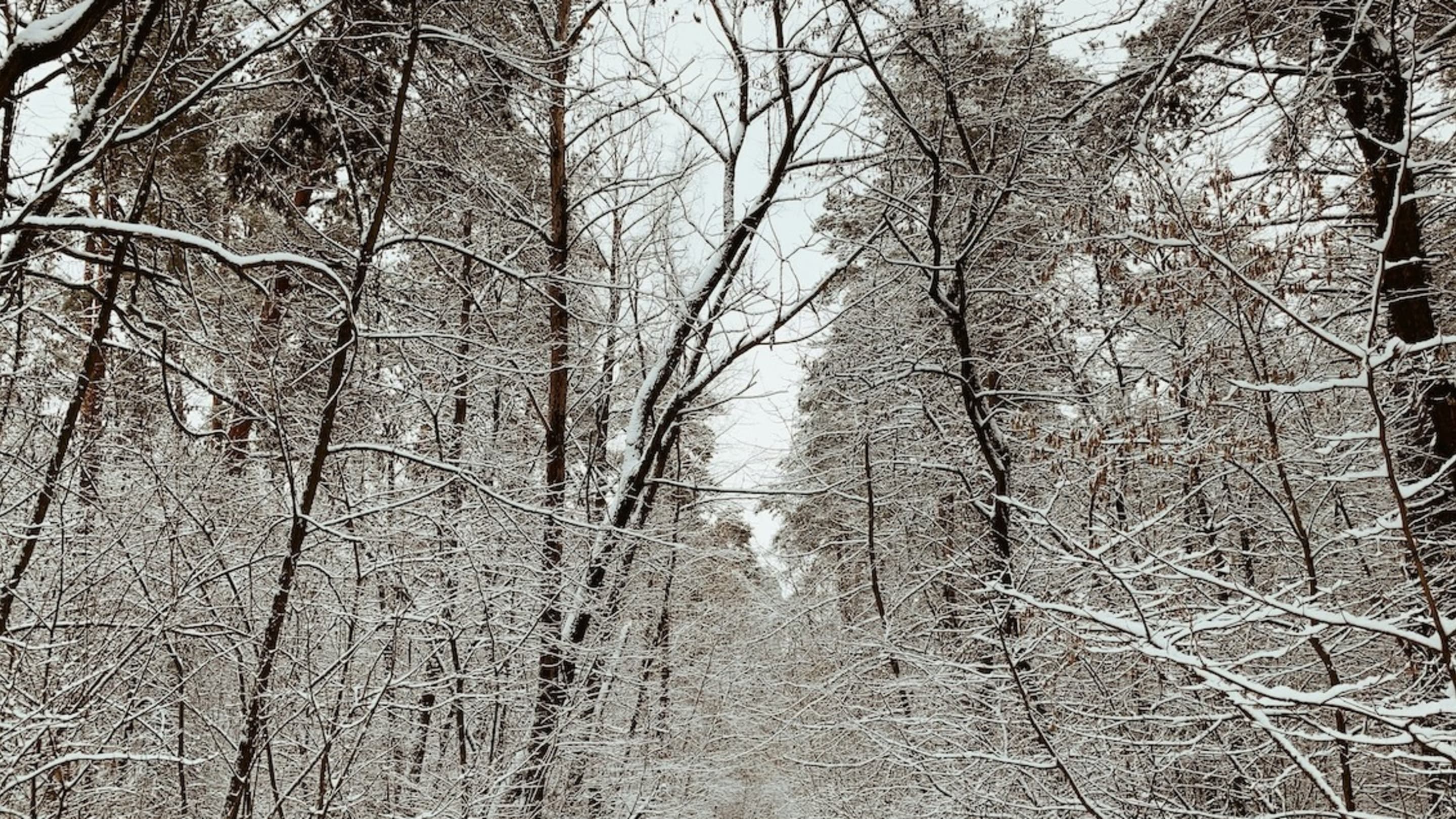 Winterspaziergang 2