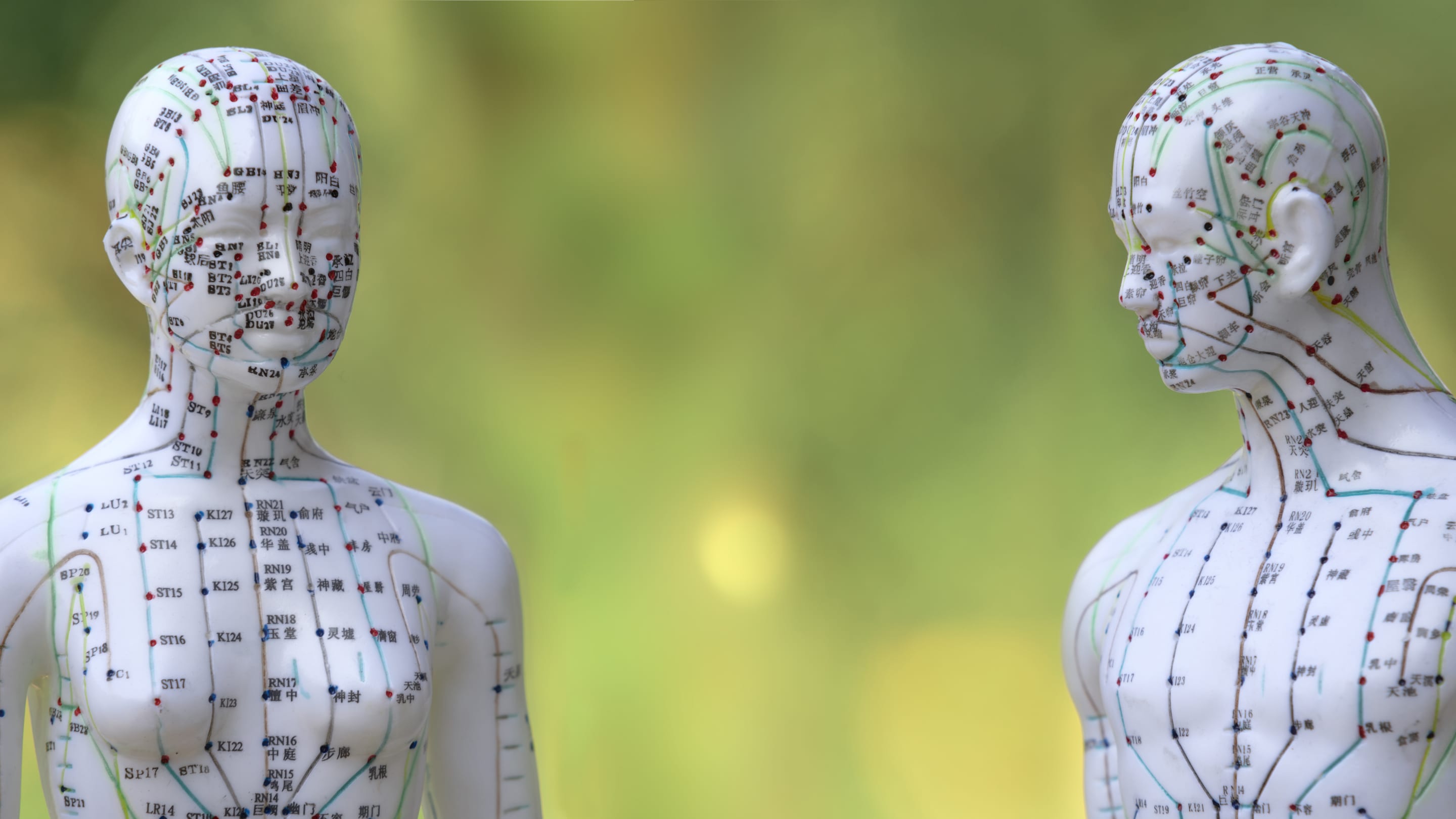 Chinesische organuhr 2