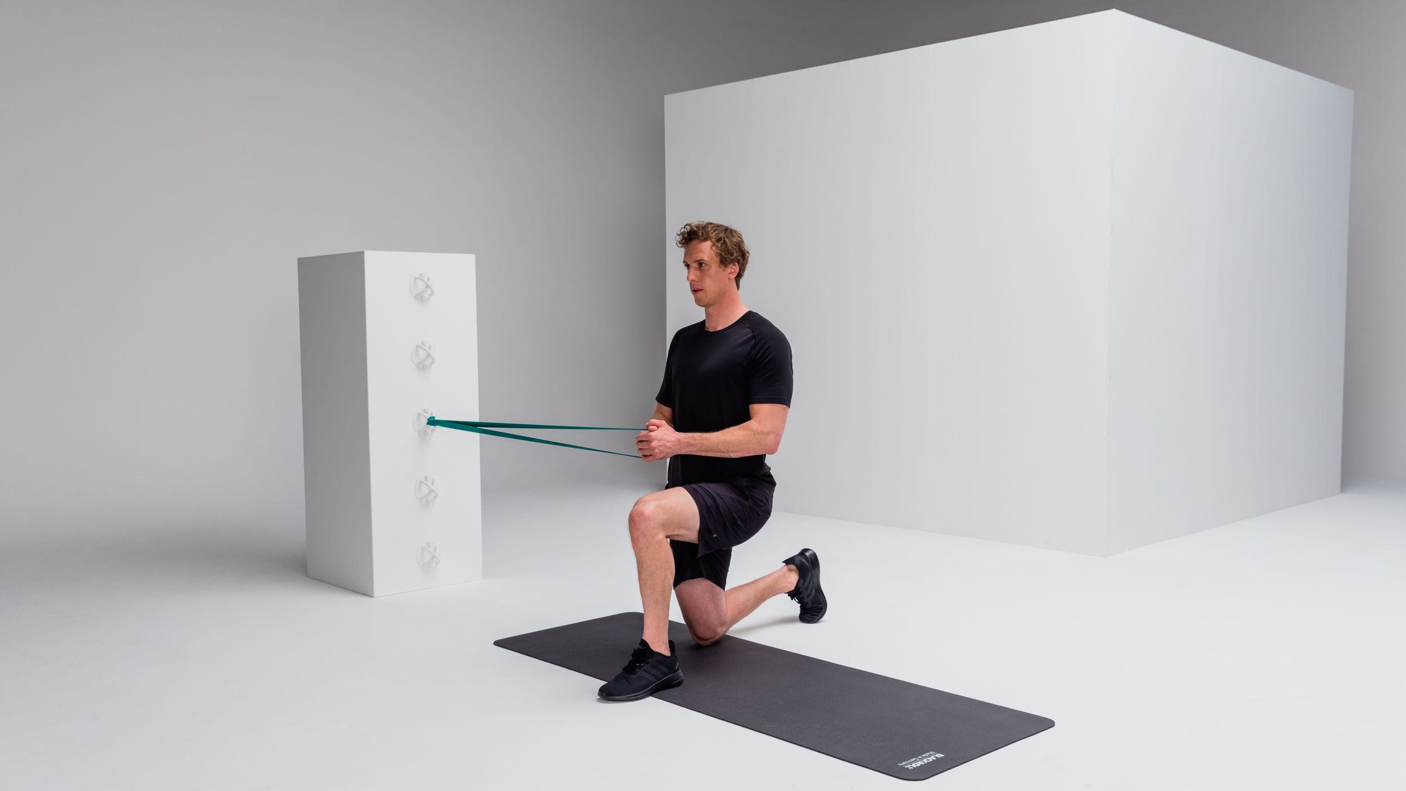 Pallof press strengthening blackroll