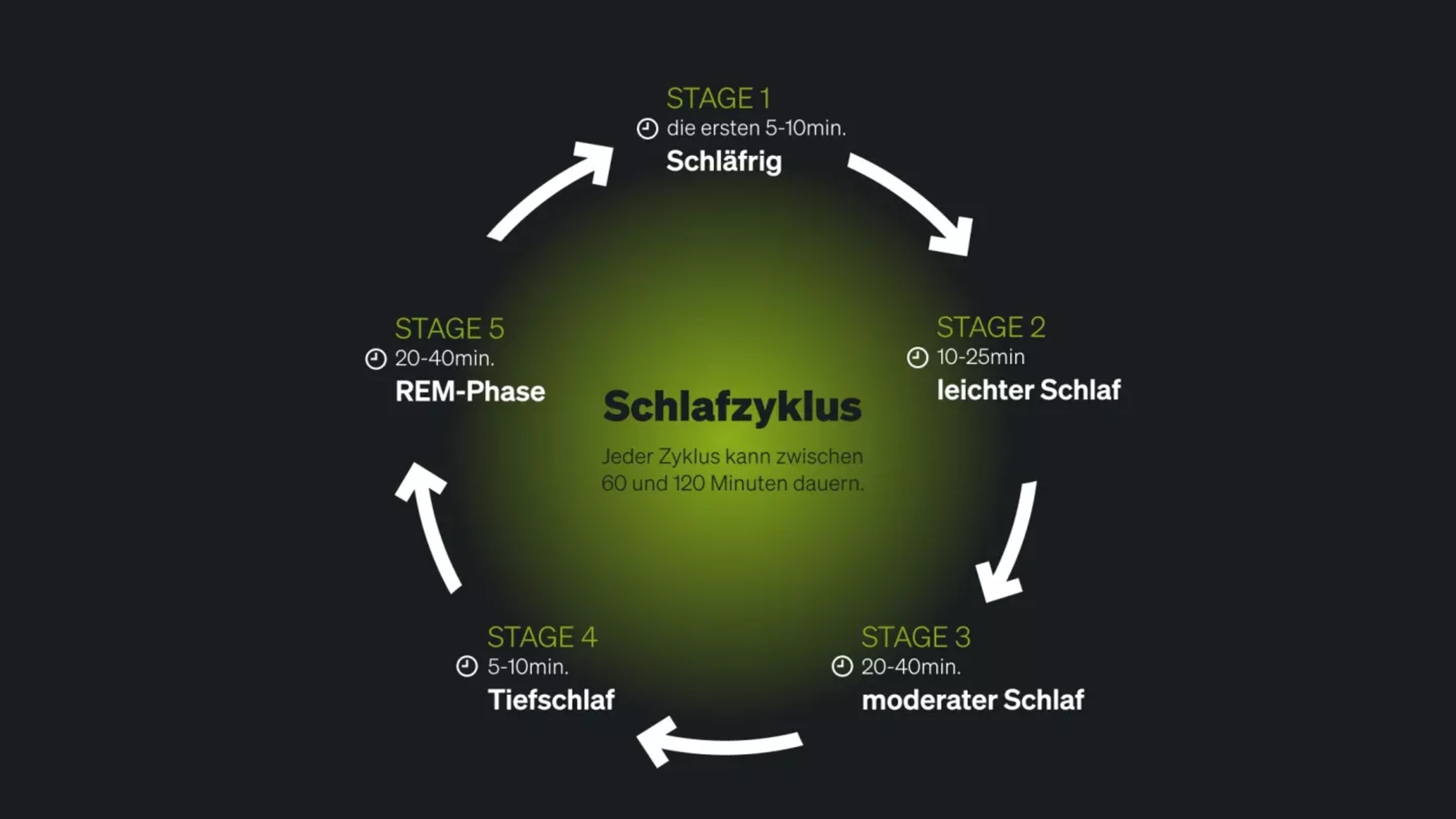 Schlafzyklus