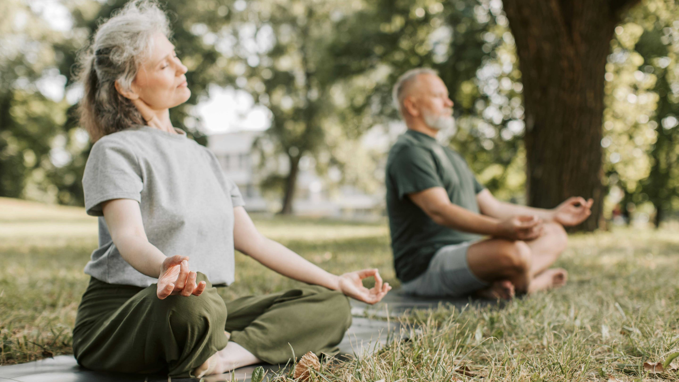 Schmerzlinderung durch meditation