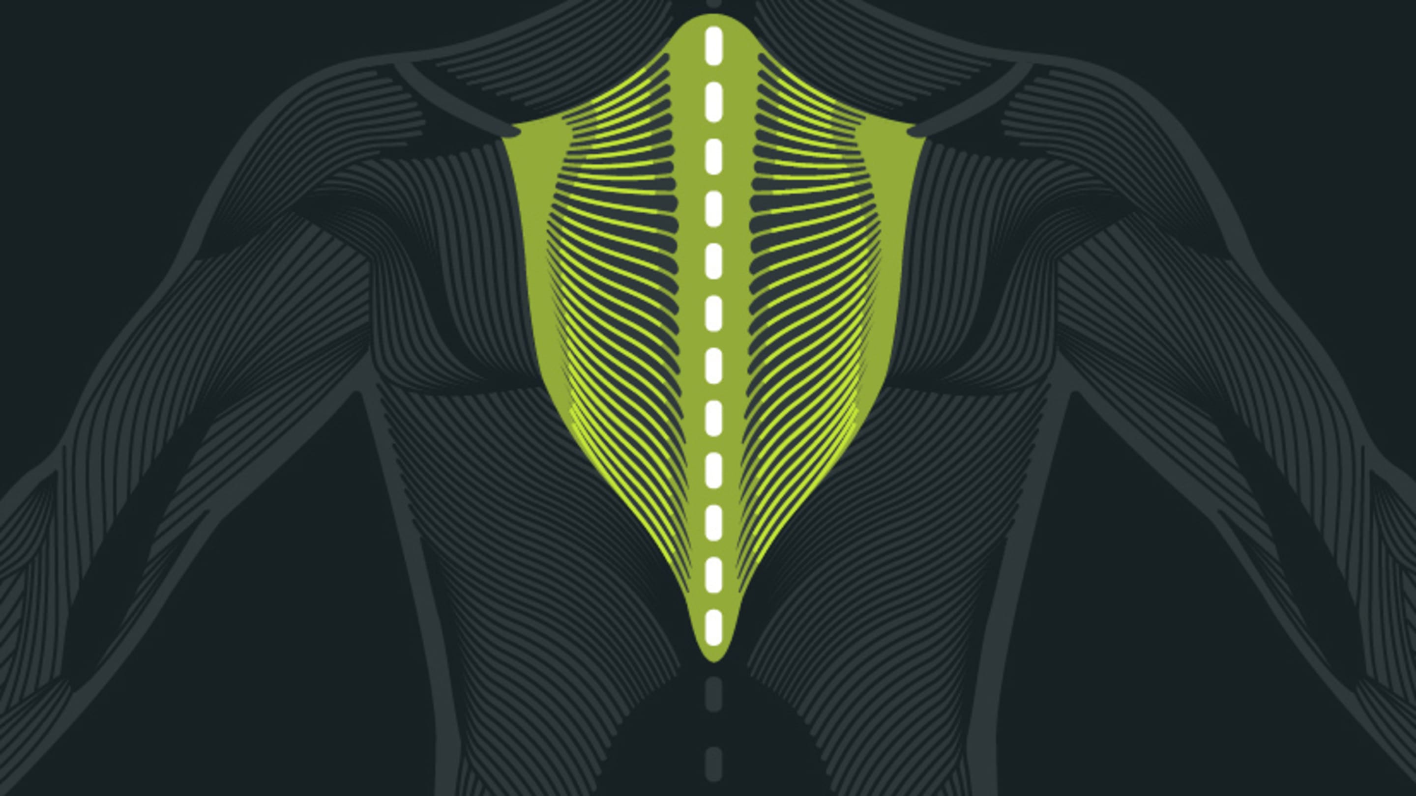 Was ist das bws syndrom blackroll