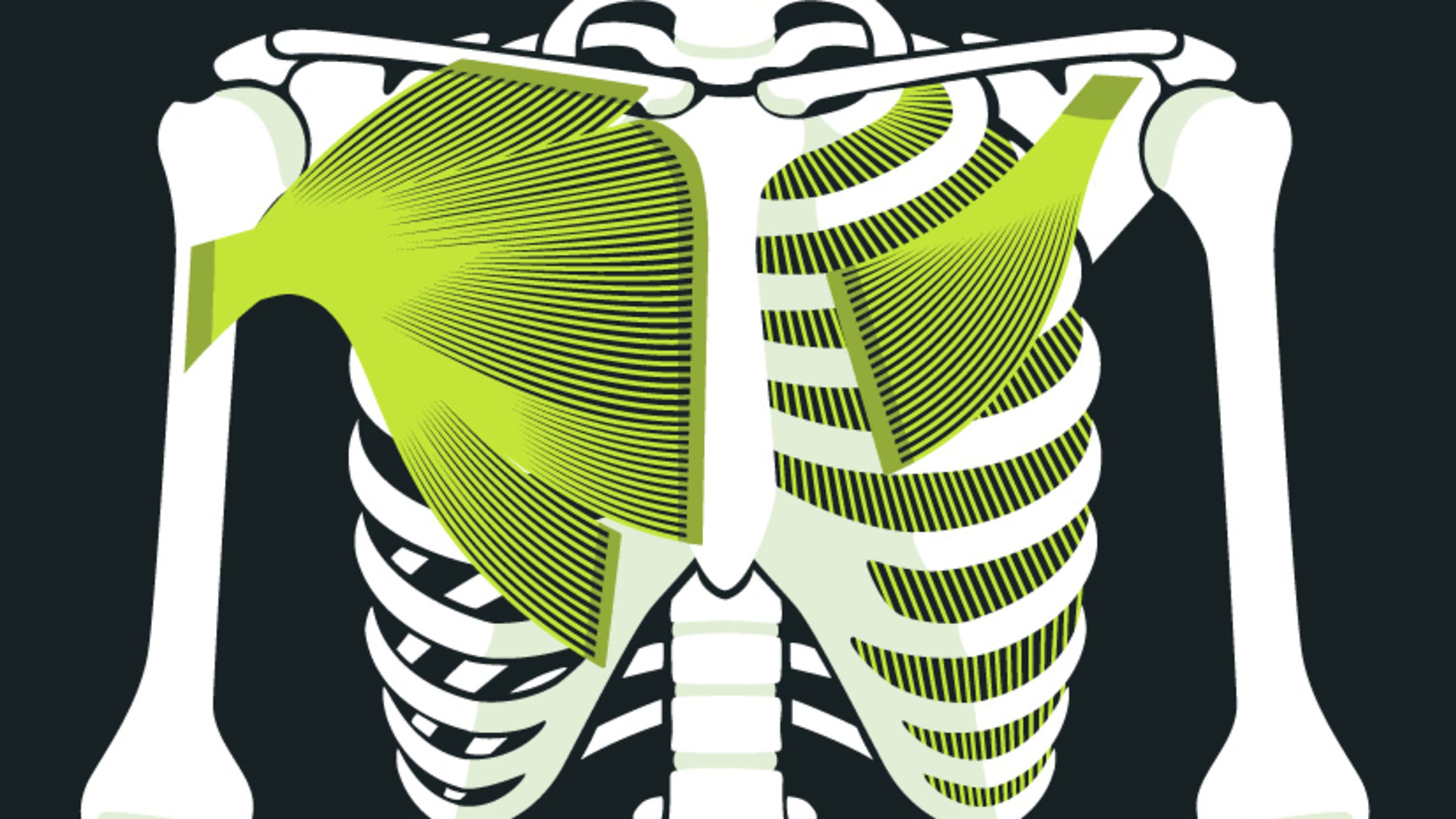 Was sind brustschmerzen blackroll