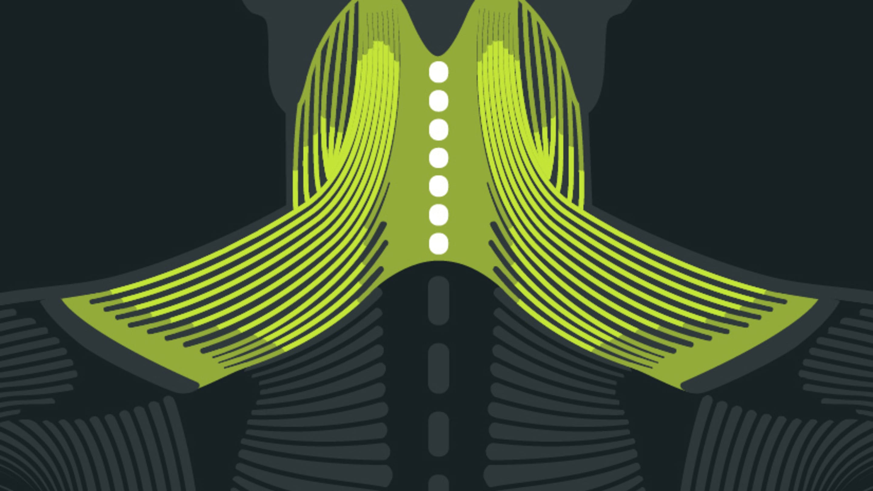 Que sont les douleurs à la nuque blackroll