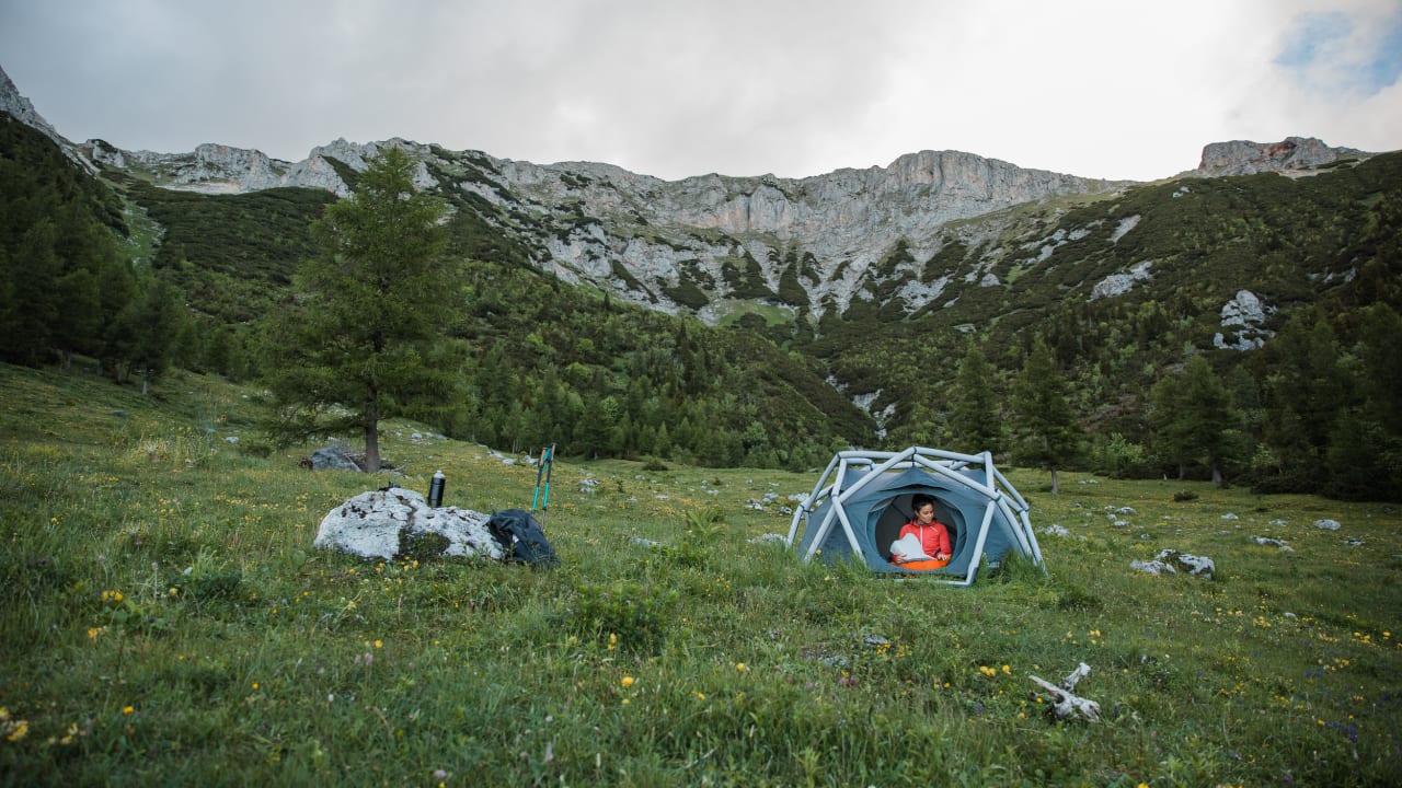 Regeneration Waldbaden