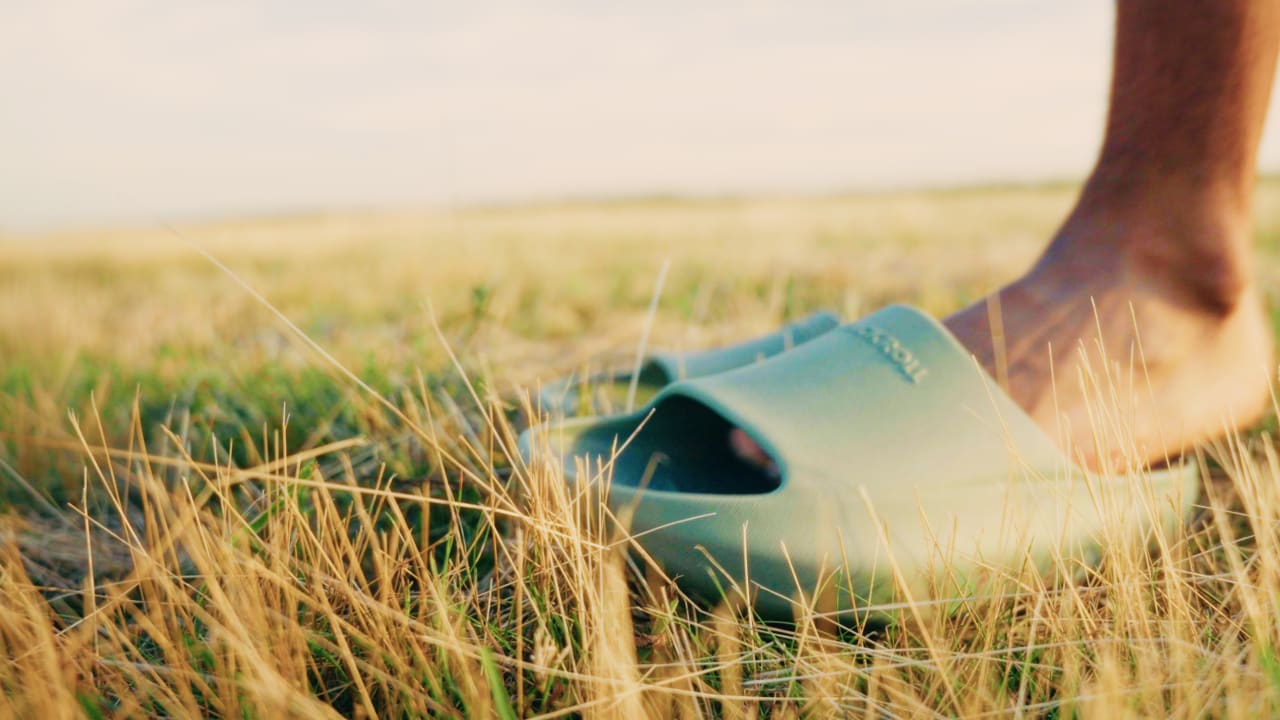 Web Header