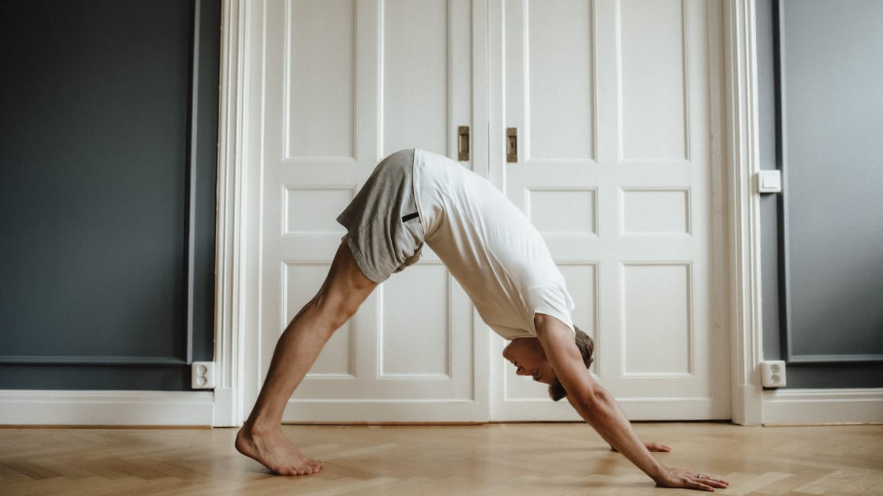 Fascial stretch herabschauender hund 2