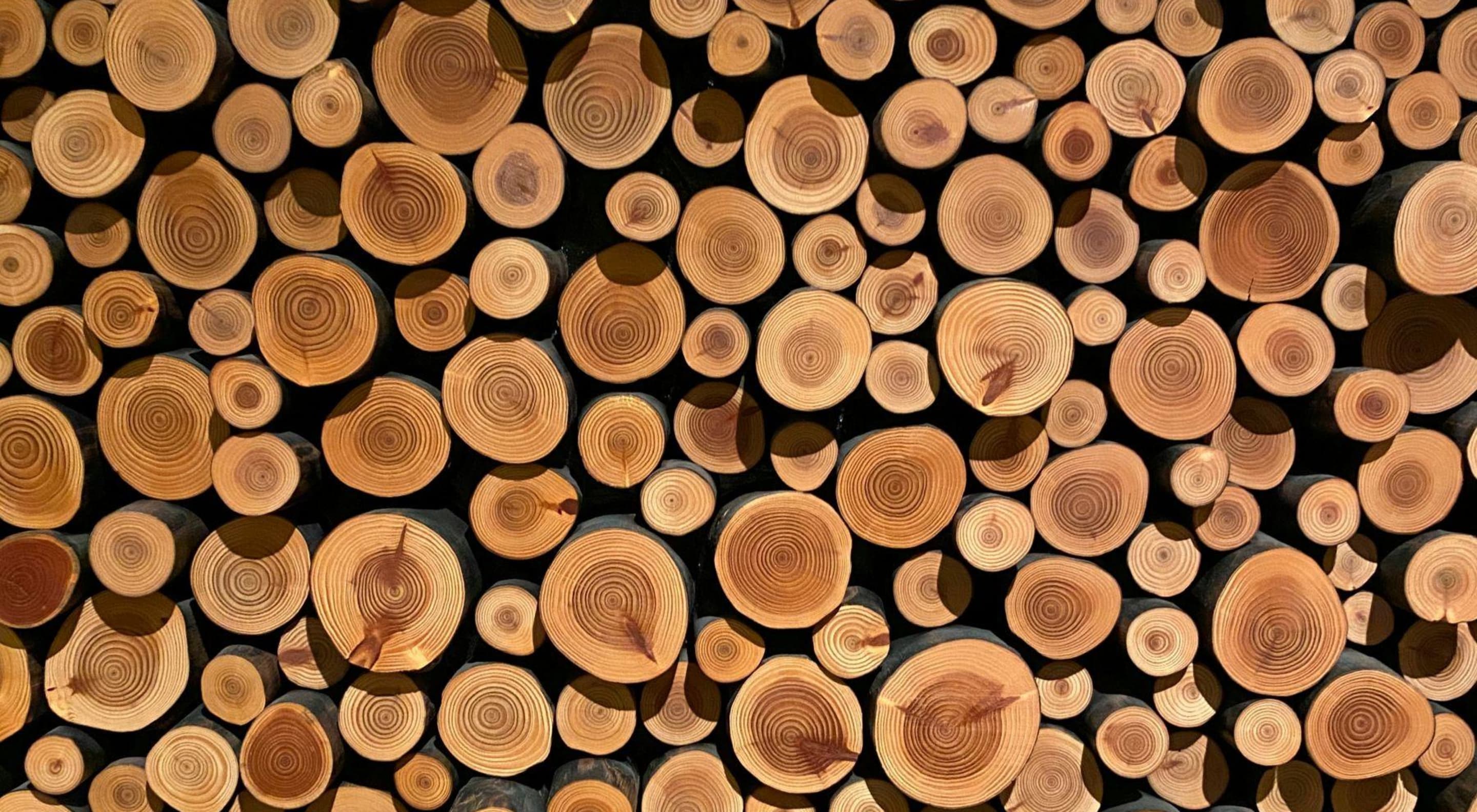https://storage.googleapis.com/oneworld-prod/assets/Holz_Schlafen2.jpg?v=1756722194