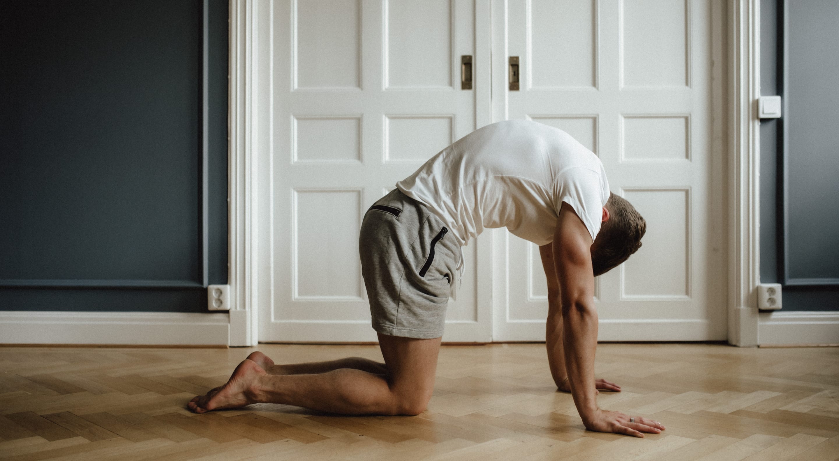https://storage.googleapis.com/oneworld-prod/assets/fascial-stretch-cat.jpg?v=1628191767