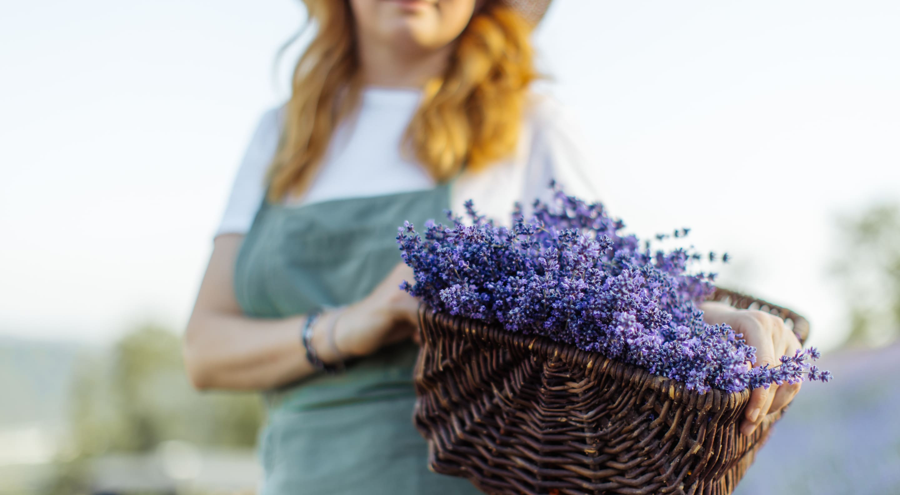 https://storage.googleapis.com/oneworld-prod/assets/lavendel-tradition.jpeg?v=1682516822