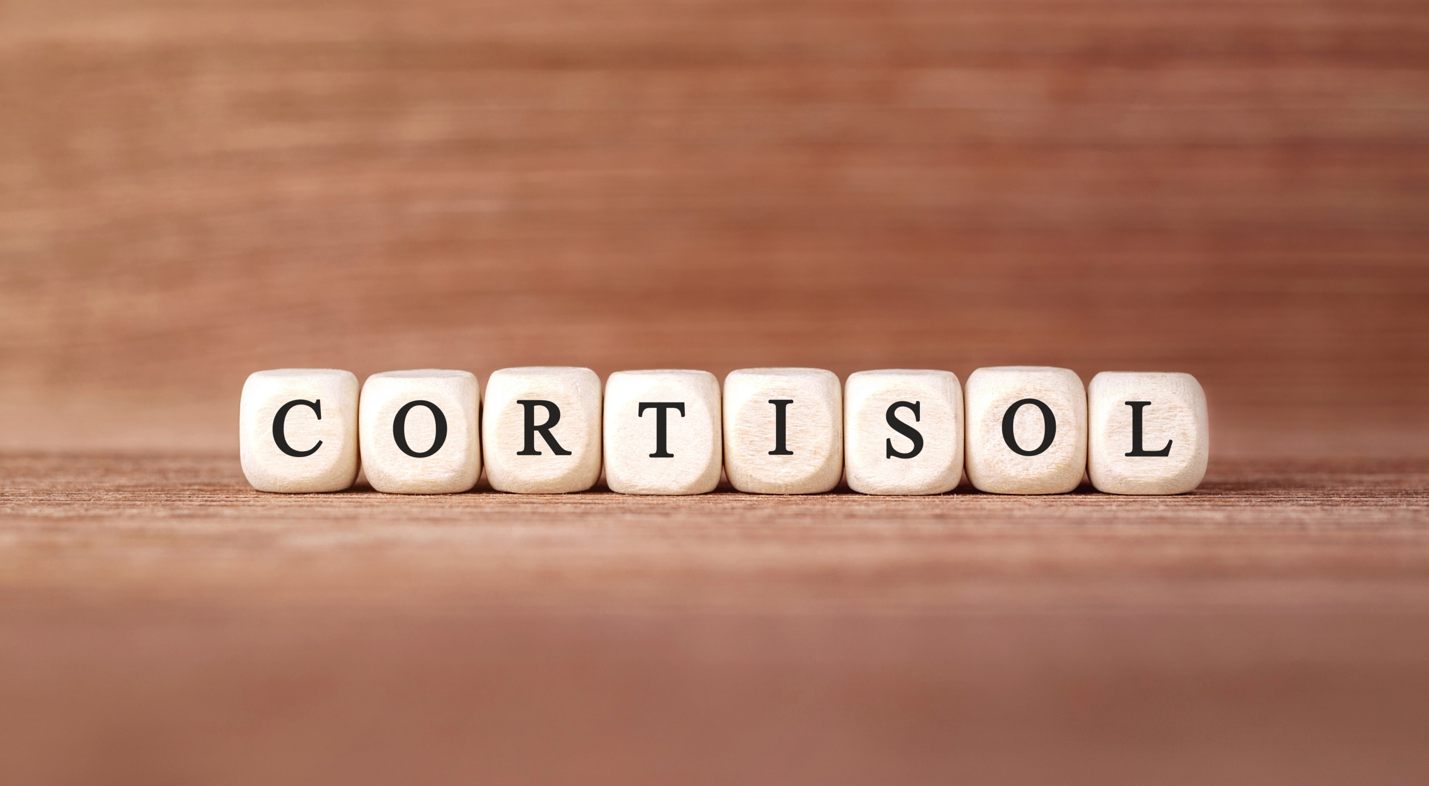 https://storage.googleapis.com/oneworld-prod/assets/stresshormon-cortisol-abbauen.jpeg?v=1685005534