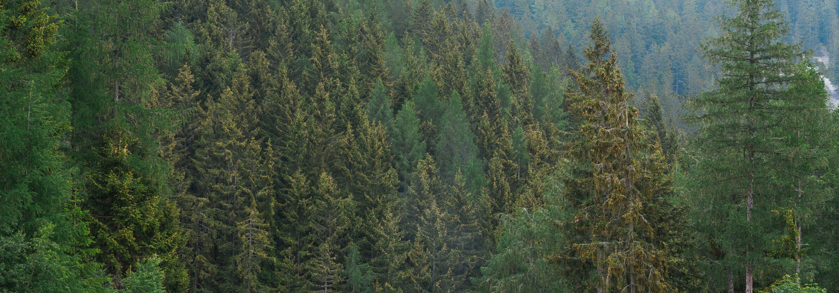 https://storage.googleapis.com/oneworld-prod/assets/2020_OUTDOOR_MOOD-8470_2021-07-02-103340_ehjv_2021-07-02-103453_twon.jpg?v=1625222093