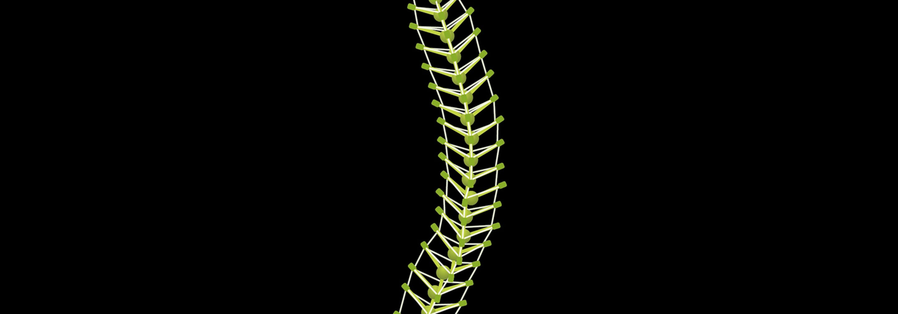 https://storage.googleapis.com/oneworld-prod/assets/Tensegrity-Wirbelsa%CC%88ule.jpg?v=1618390742