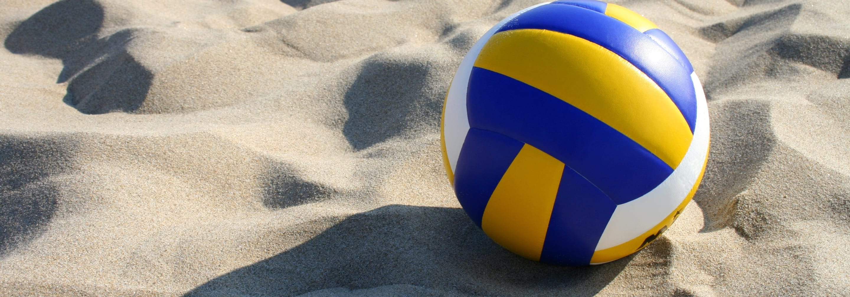 https://storage.googleapis.com/oneworld-prod/assets/blackroll-aufwaermuebungen-fuer-volleyballer.jpeg?v=1655799311