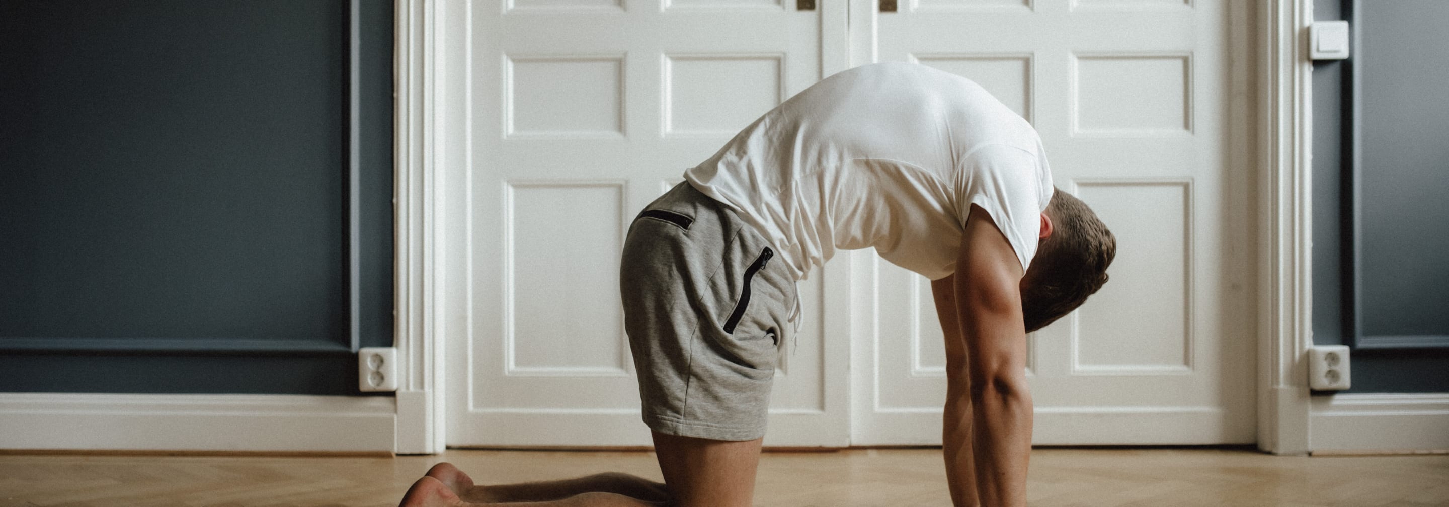 https://storage.googleapis.com/oneworld-prod/assets/fascial-stretch-cat.jpg?v=1628191767