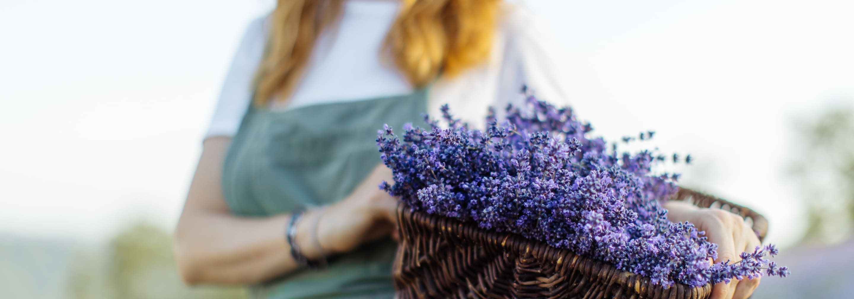 https://storage.googleapis.com/oneworld-prod/assets/lavendel-tradition.jpeg?v=1682516822