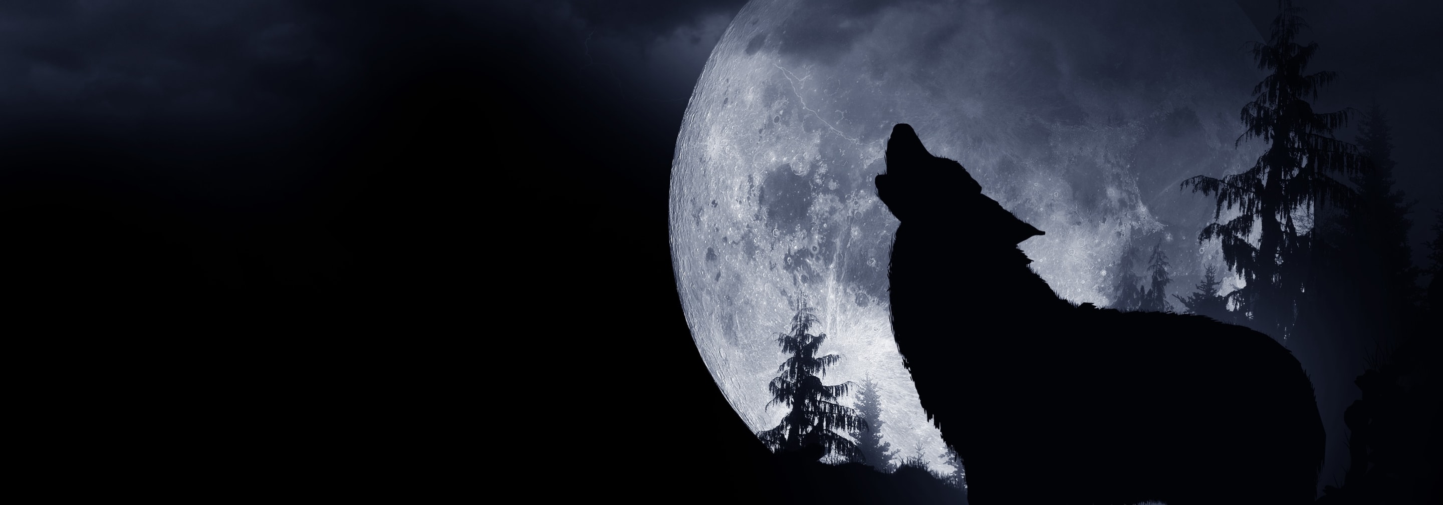 https://storage.googleapis.com/oneworld-prod/assets/wolfsstunde-3.jpeg?v=1689340704