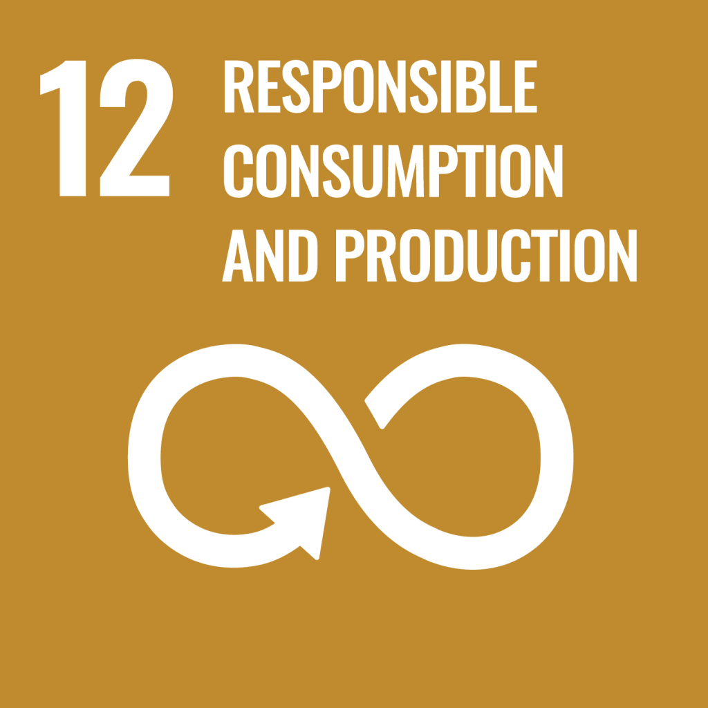 SDG_12_ResponsibleConsumptionAndProduction