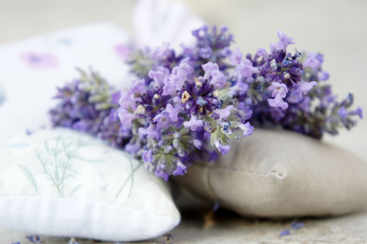 Lavendelsäckchen einschlafen unterwegs