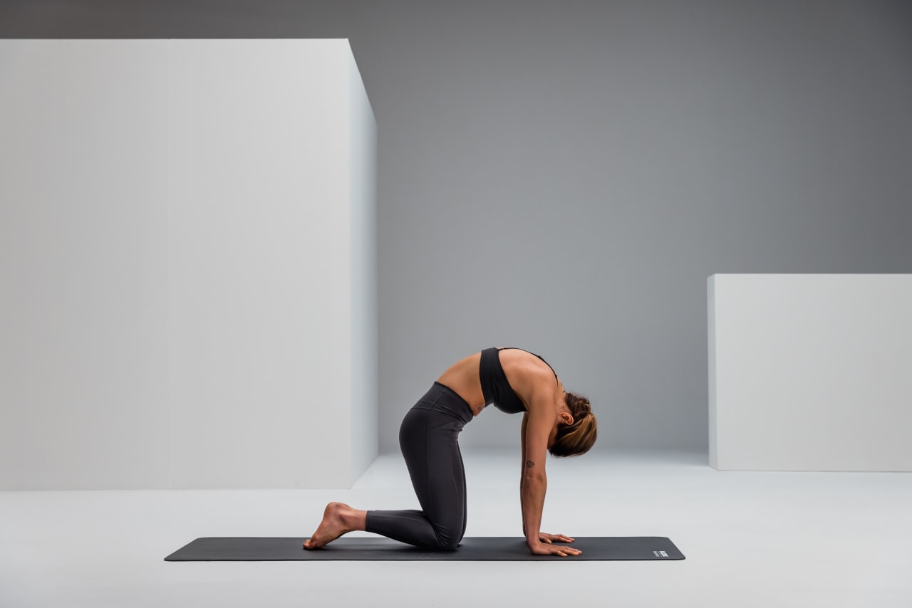 Cat cow mobility web 2 2 Y2 A7030 3