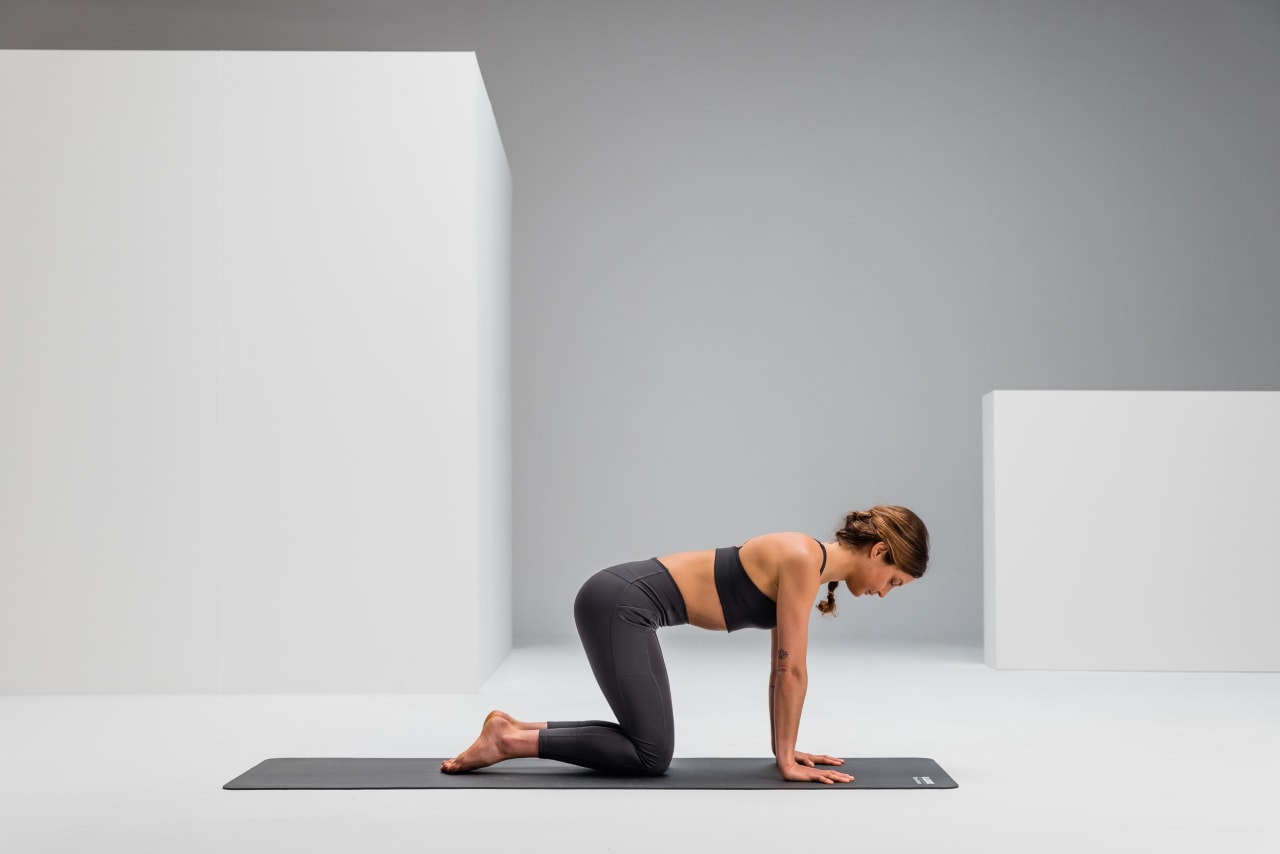 Cat cow mobility web 4 2 Y2 A7174 2