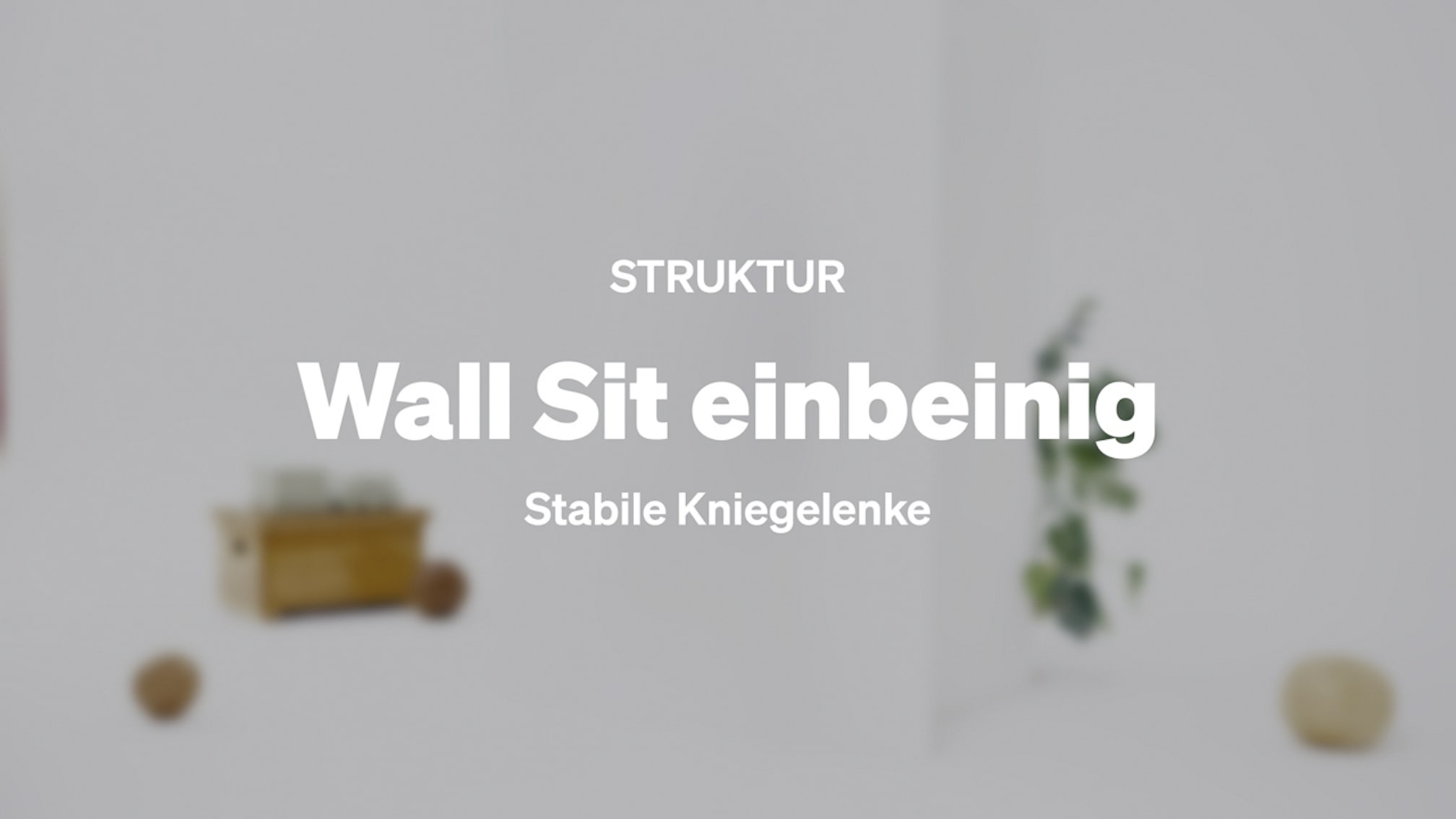 Wall Sit einbeinig