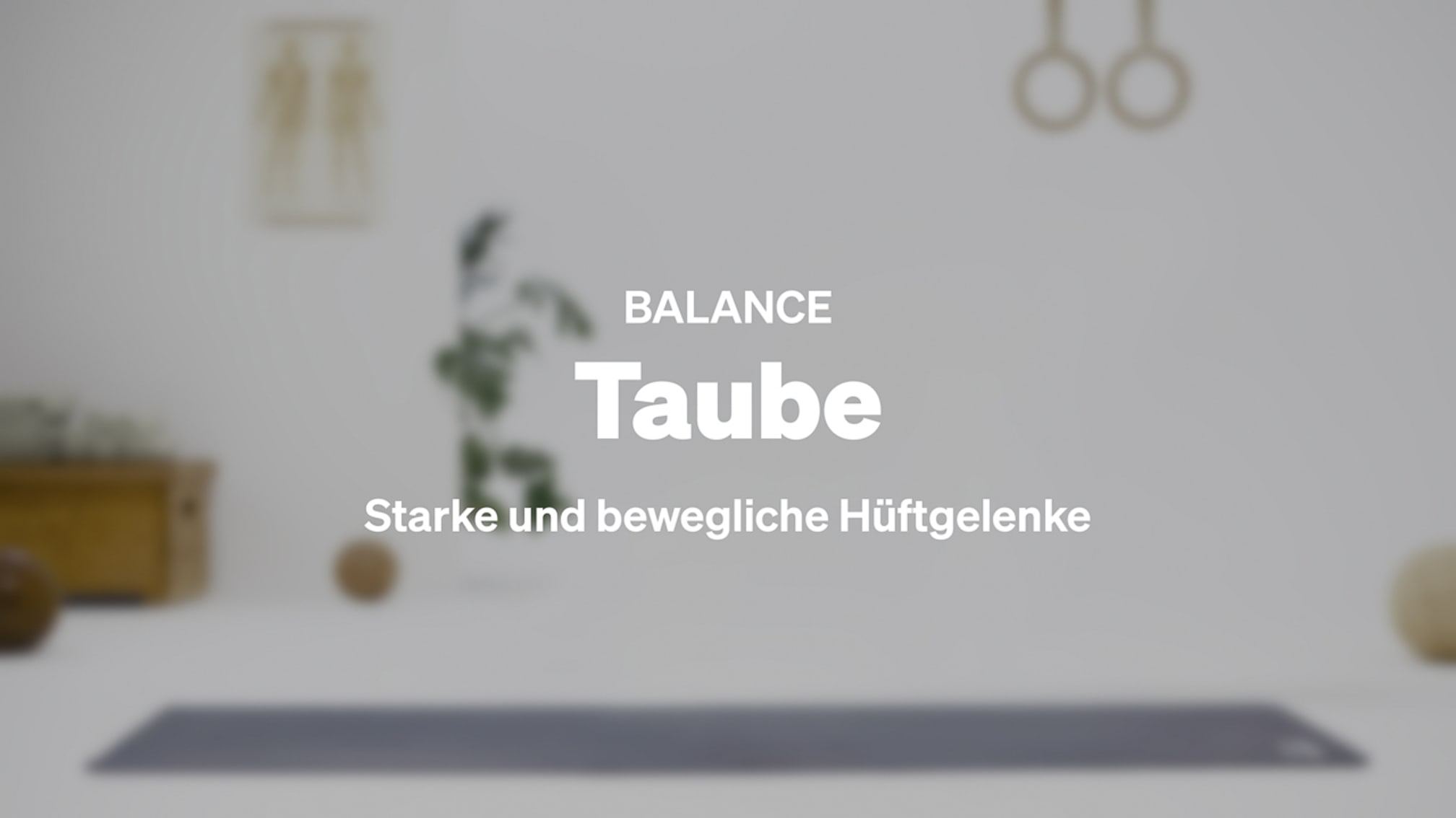 Taube