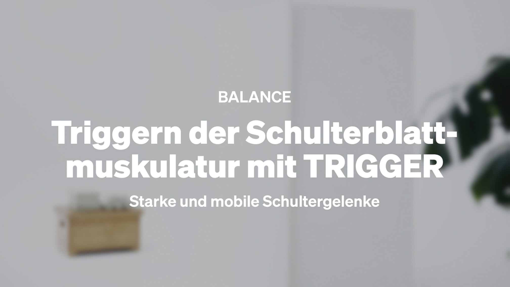 Triggern der Schulterblattmuskulatur mit TRIGGER