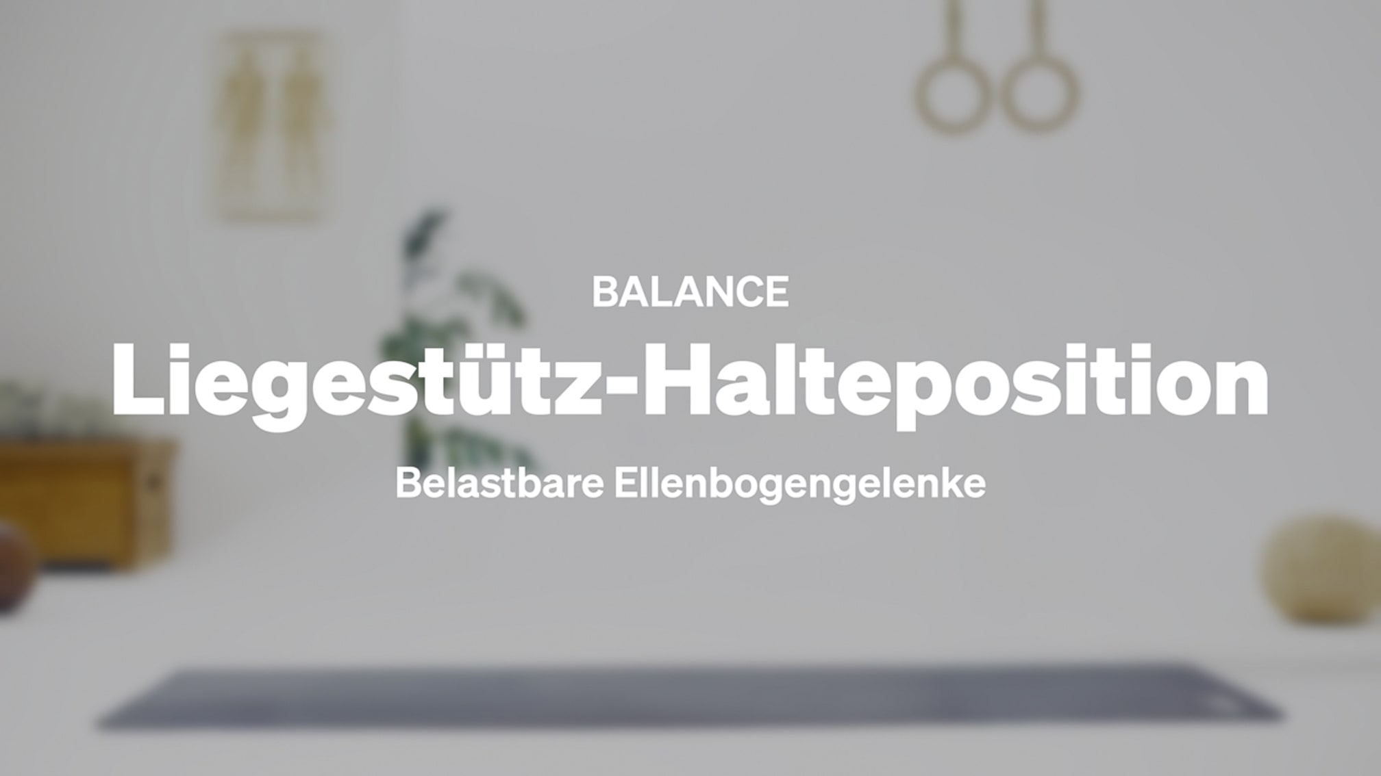 Liegestuetz-Halteposition
