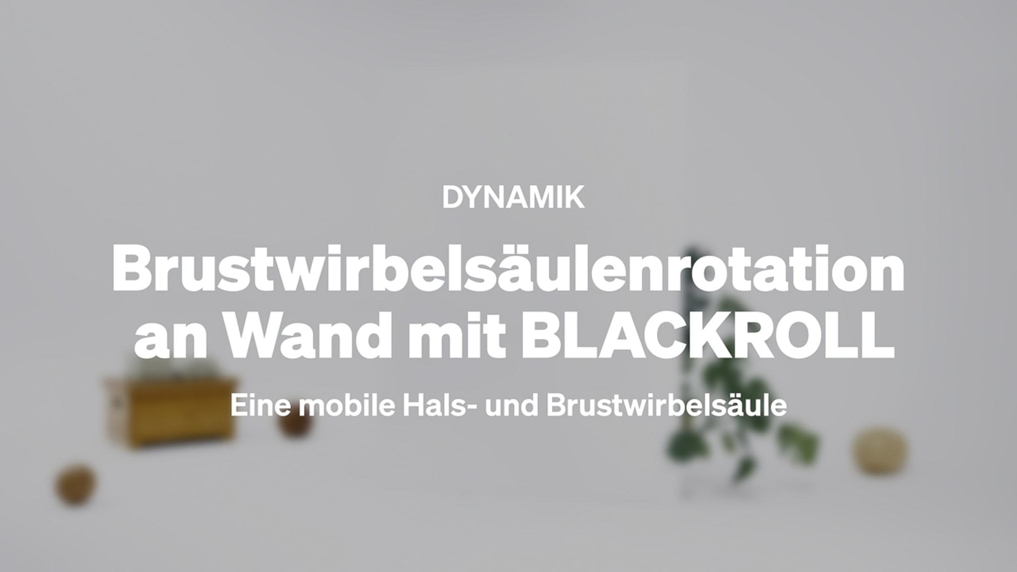 Brustwirbelsaeulenrotation an Wand mit BLACKROLL