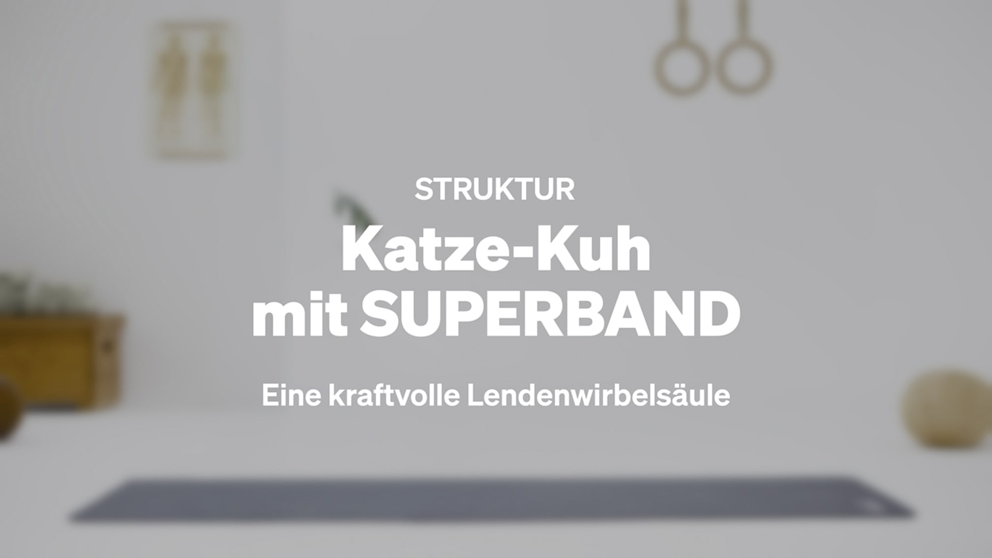 Katze-Kuh mit SUPERBAND