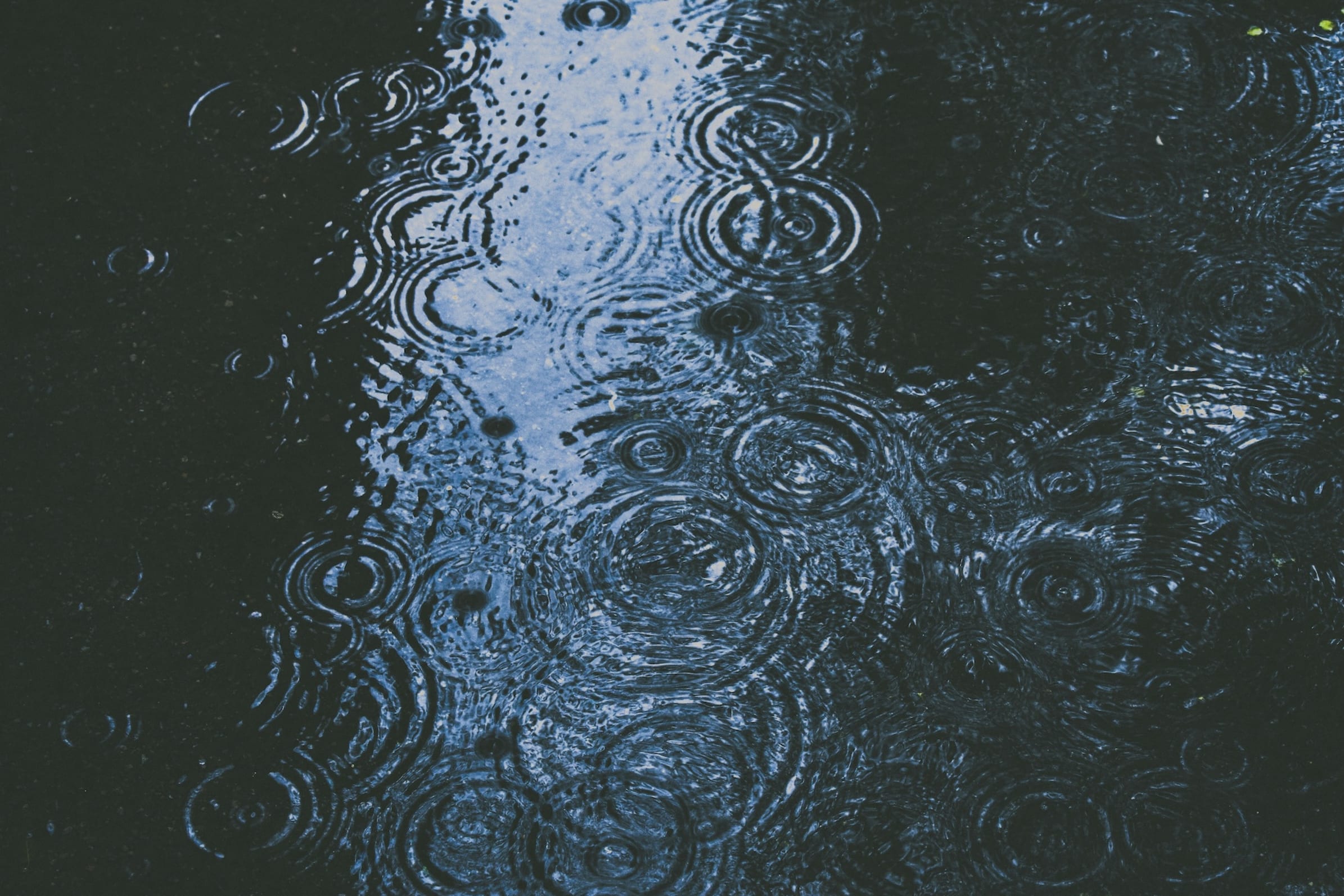Wetterfuehligkeit