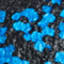 BLACK/AZUR