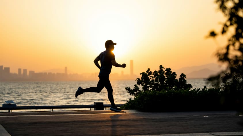 Regenerationslauf