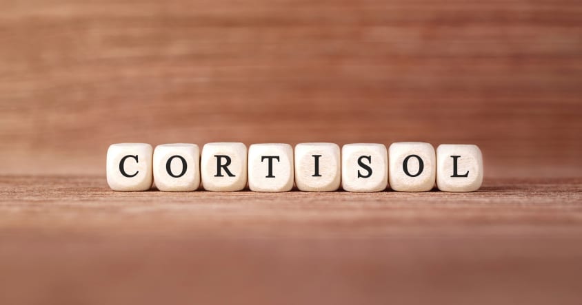 Stresshormon cortisol abbauen