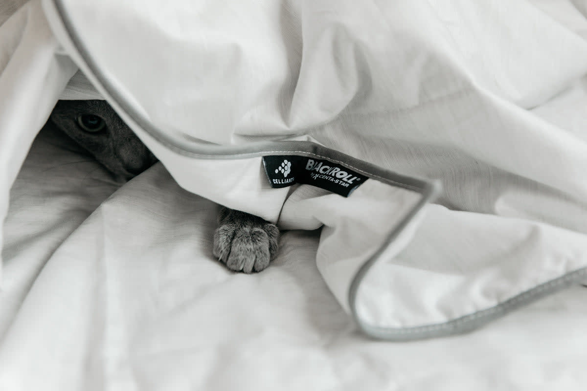 Recovery Blanket Summer Second Chance