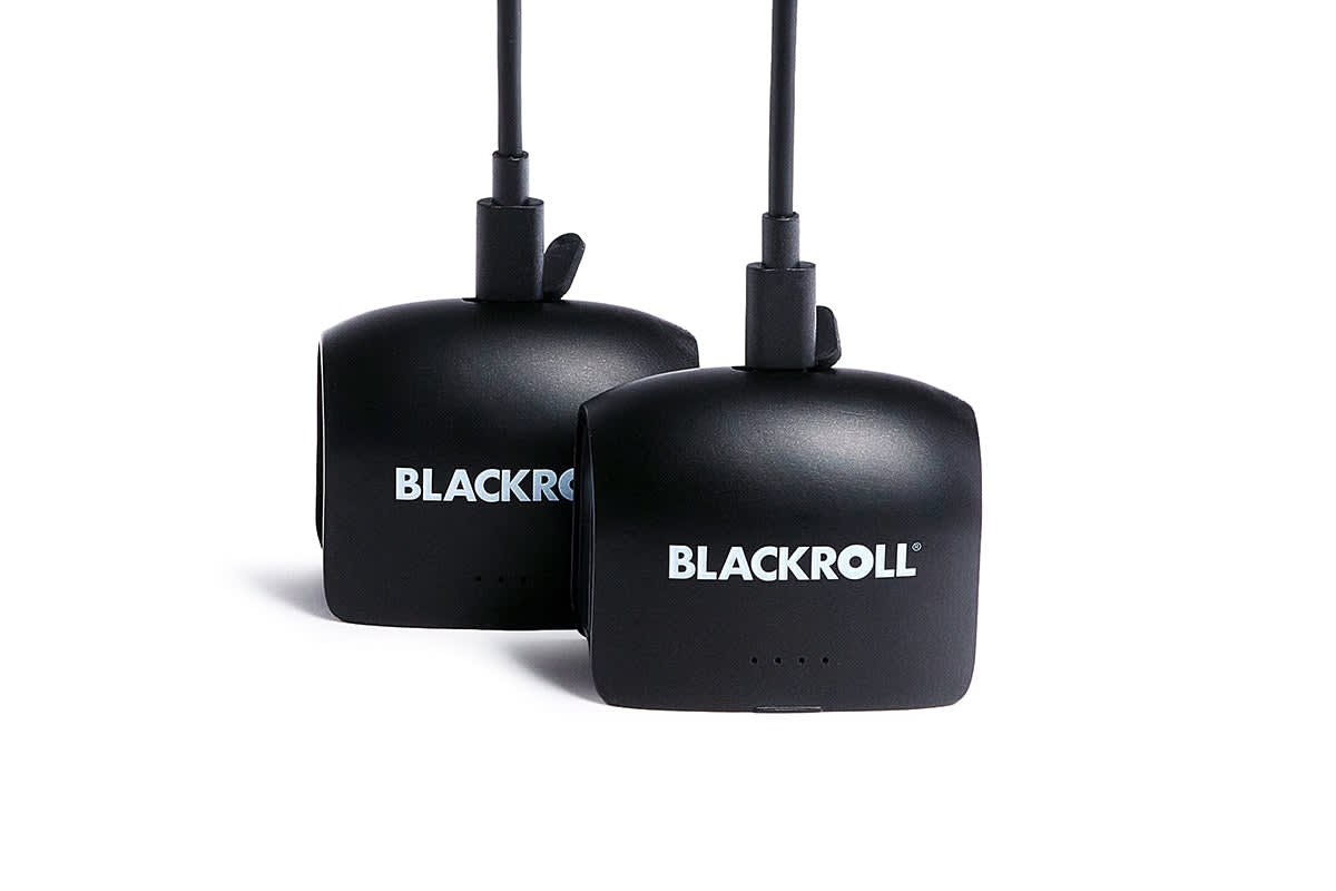 Infinity Spare Batteries